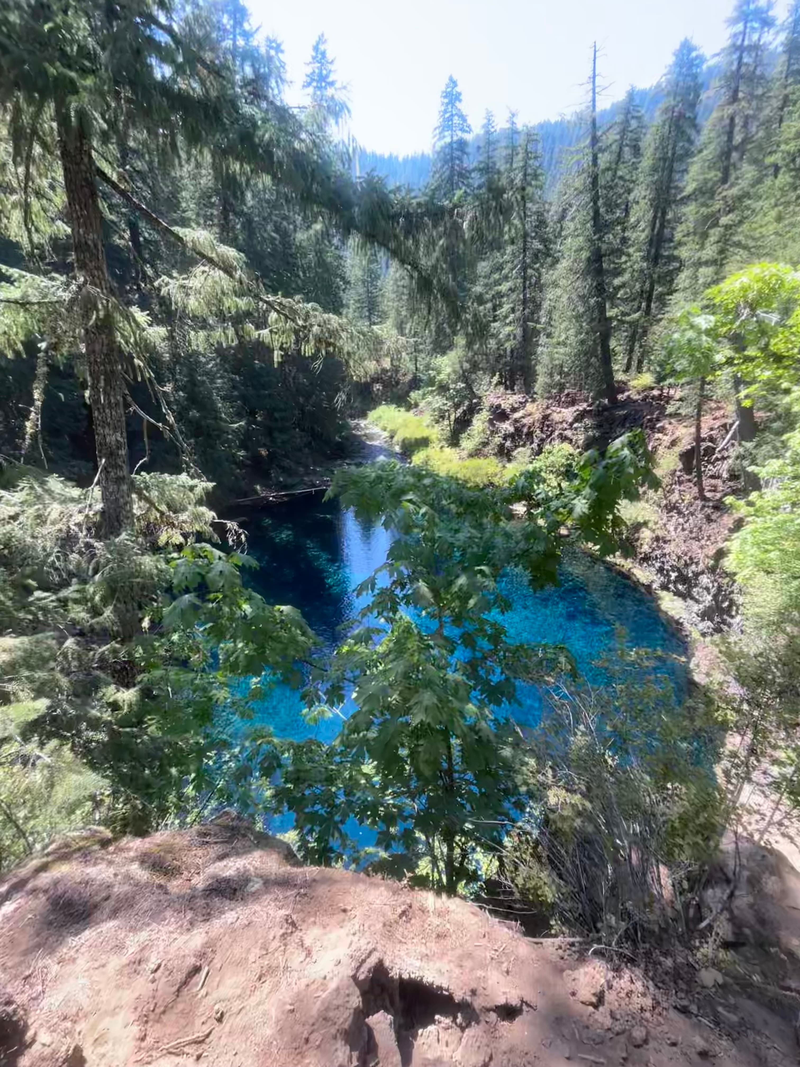 A beautiful view of the forest and river
