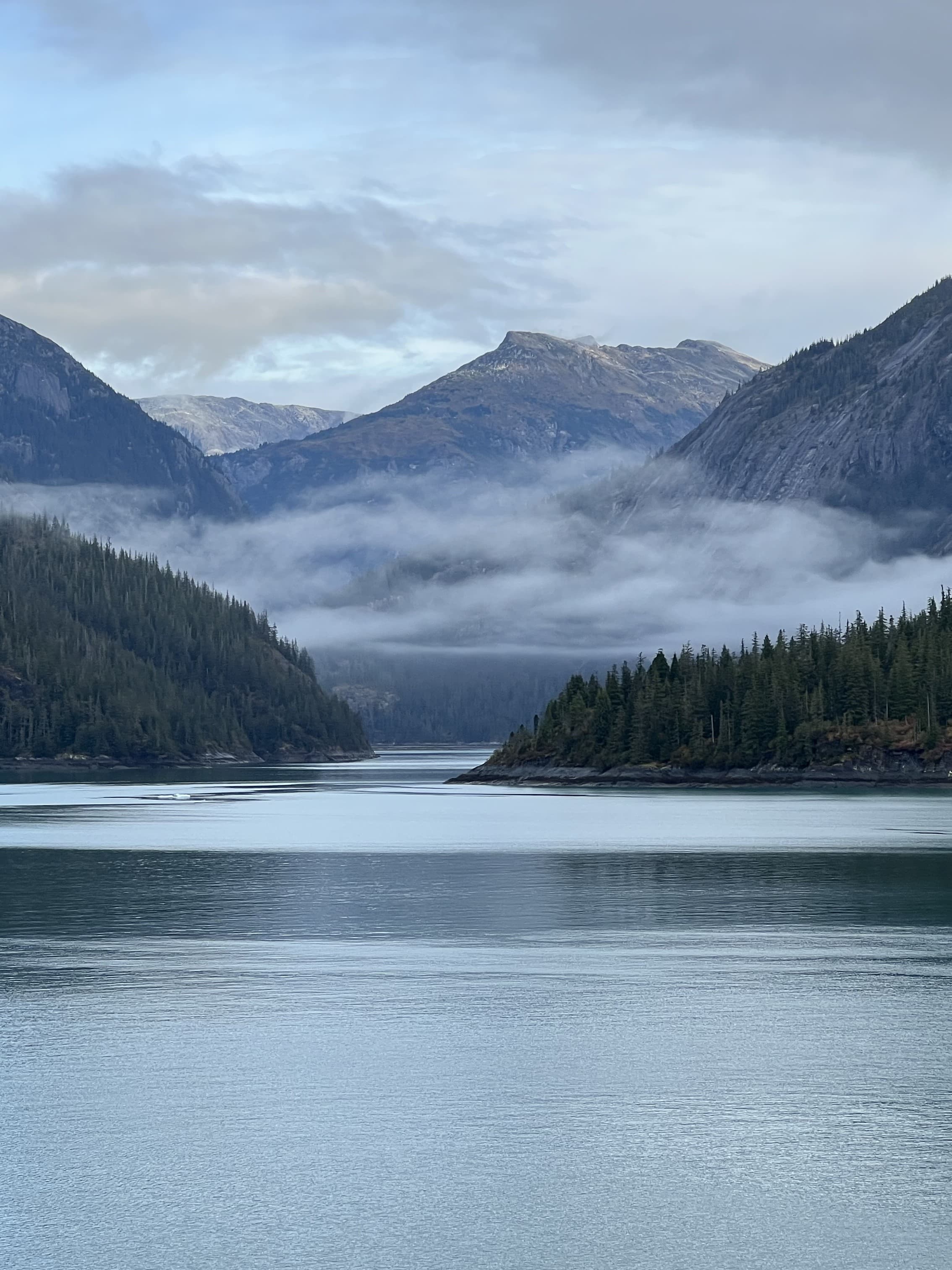 Beautiful view of a lake