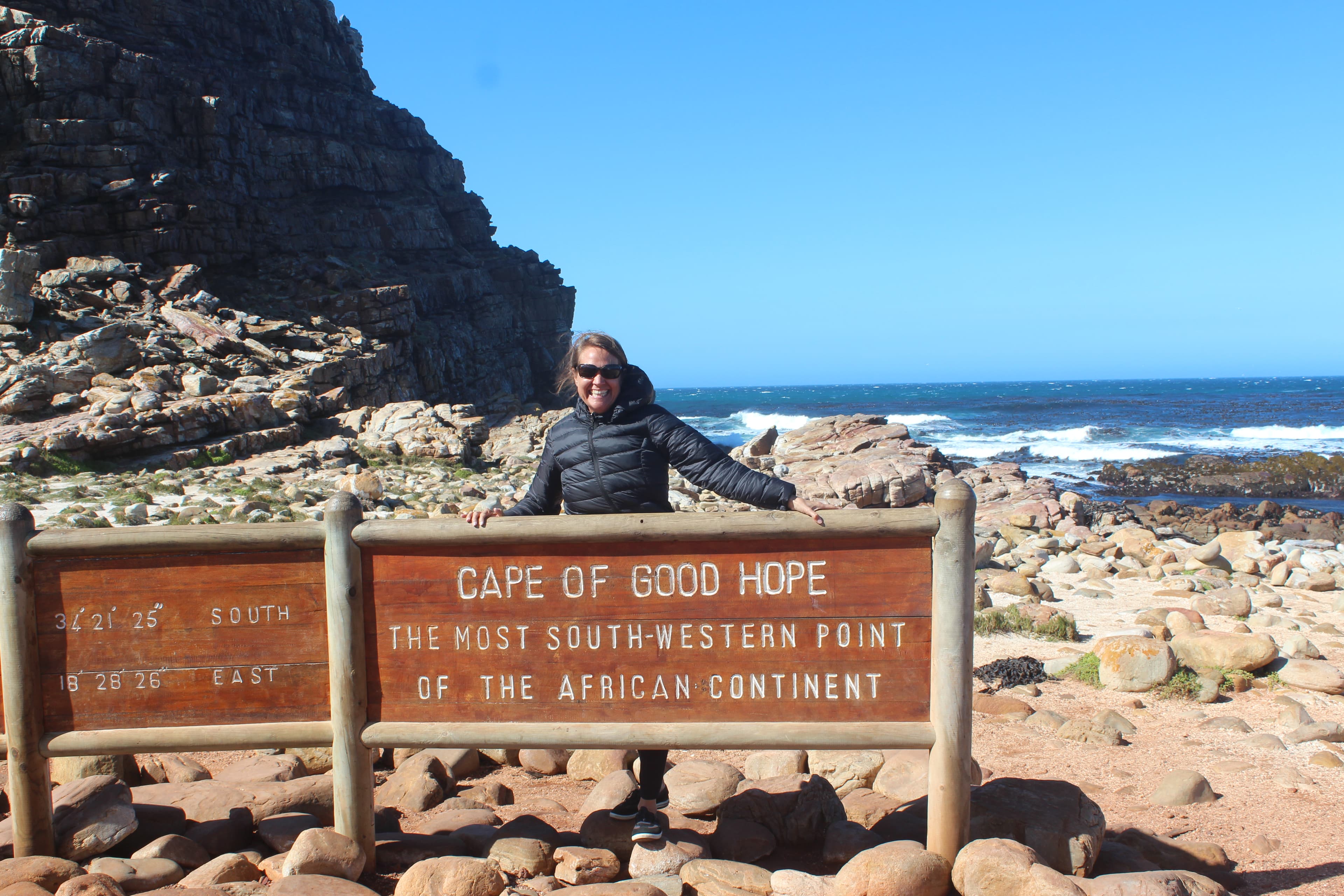 A palm tree on the beach