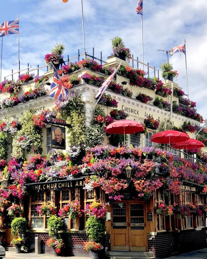 pub covered in flowers