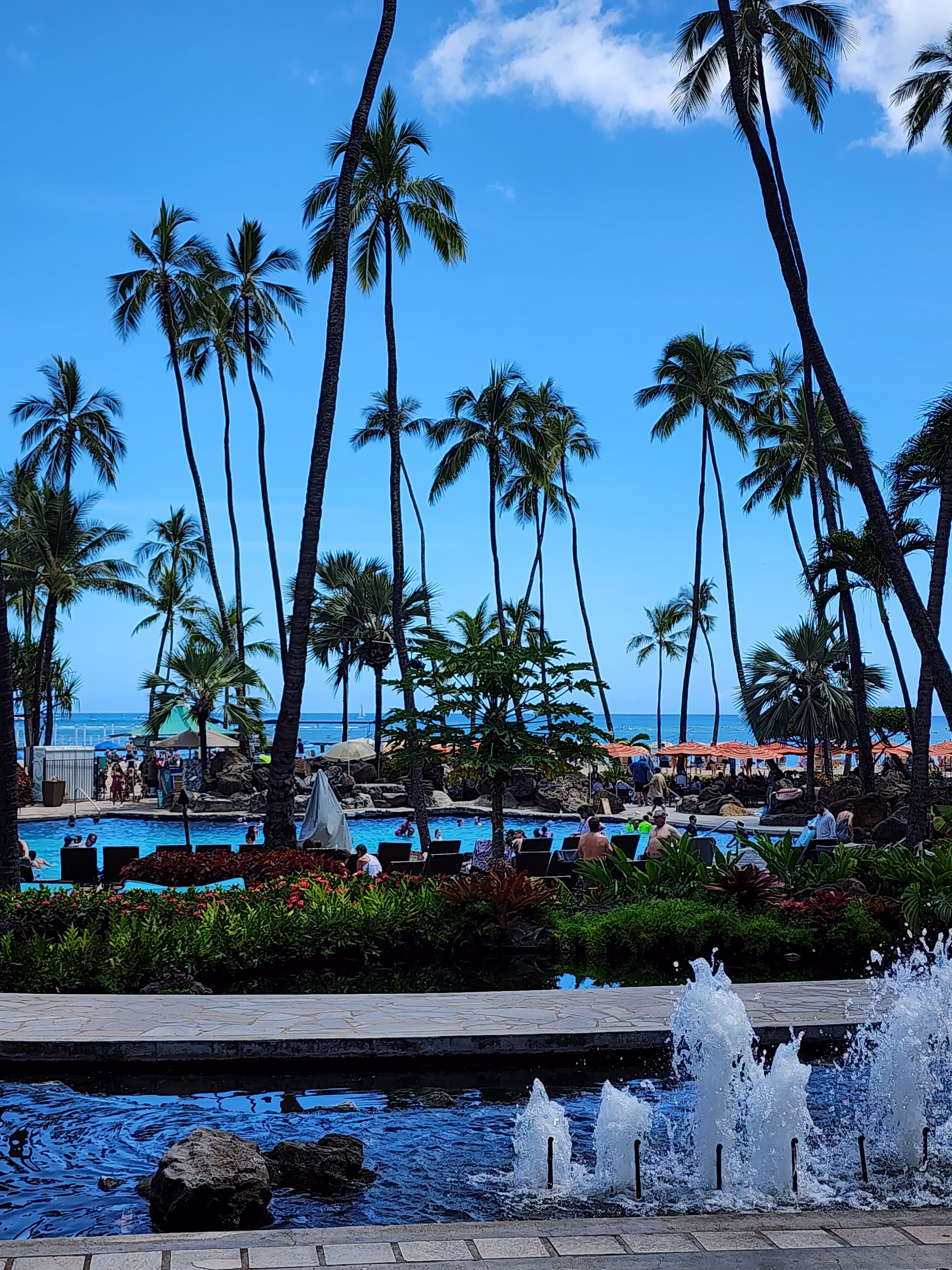 Image of trees beside pool