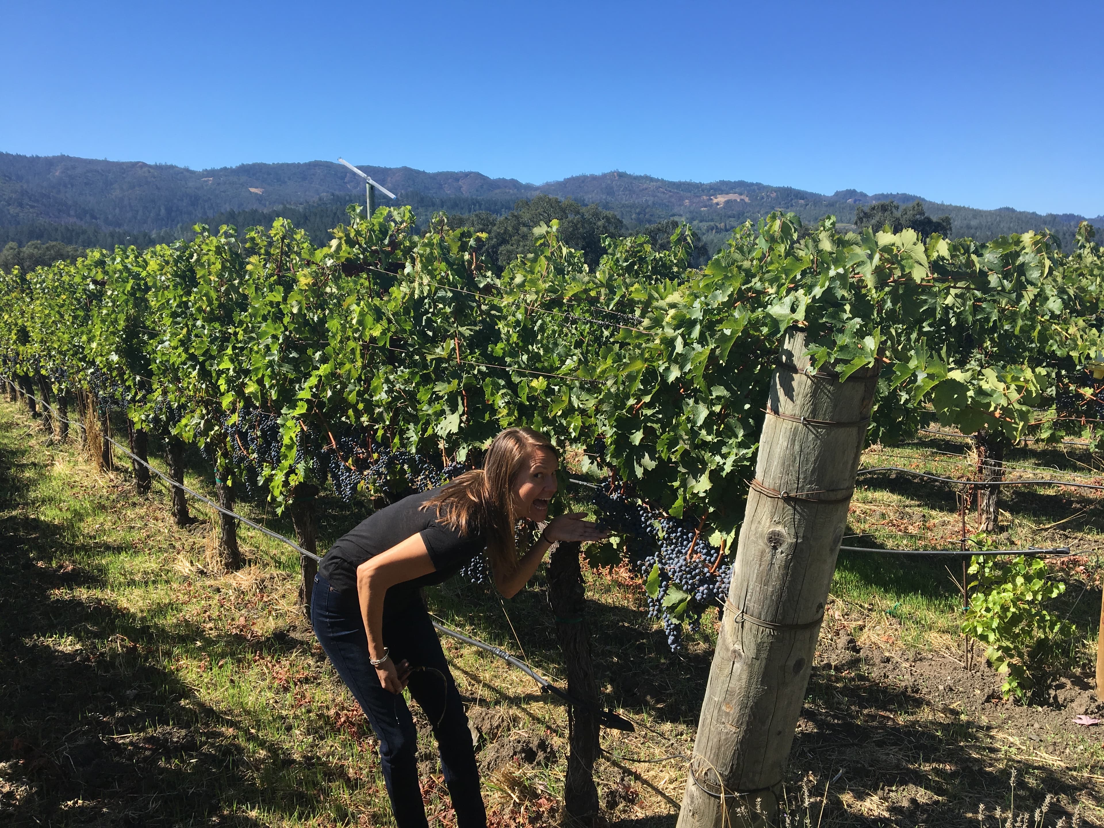 People fishing in the sea