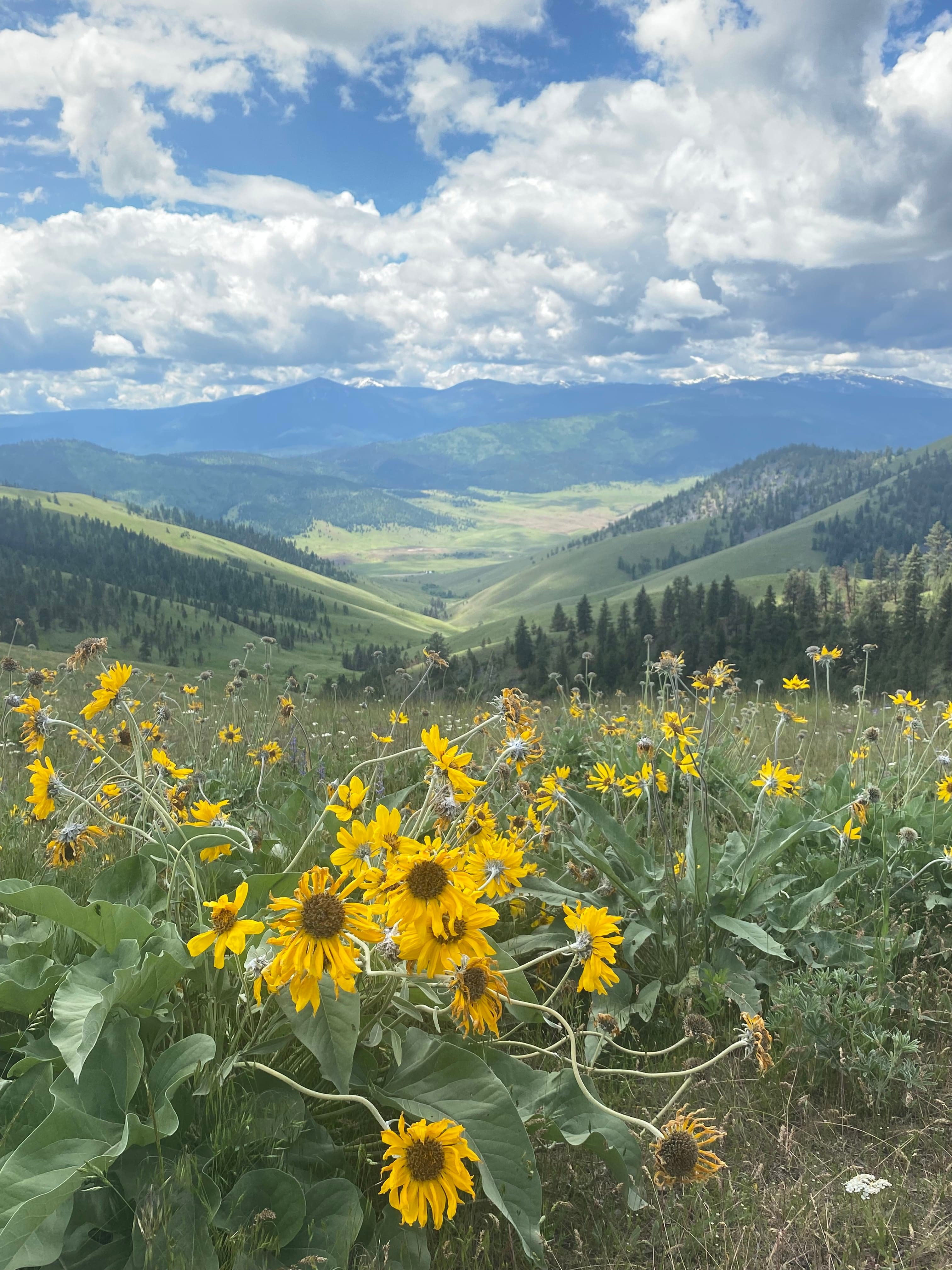 View of a valley
