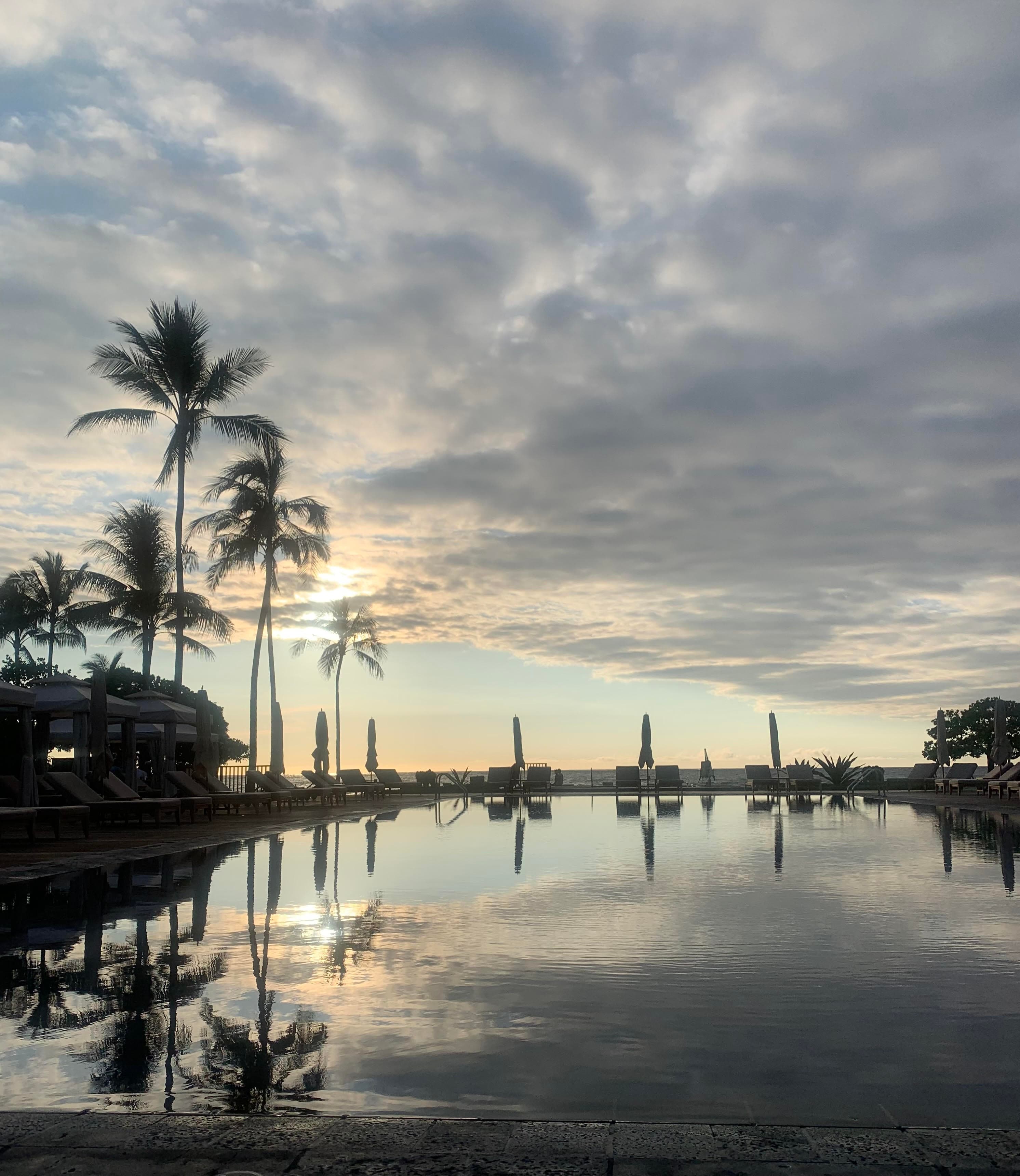 palm trees and sunset