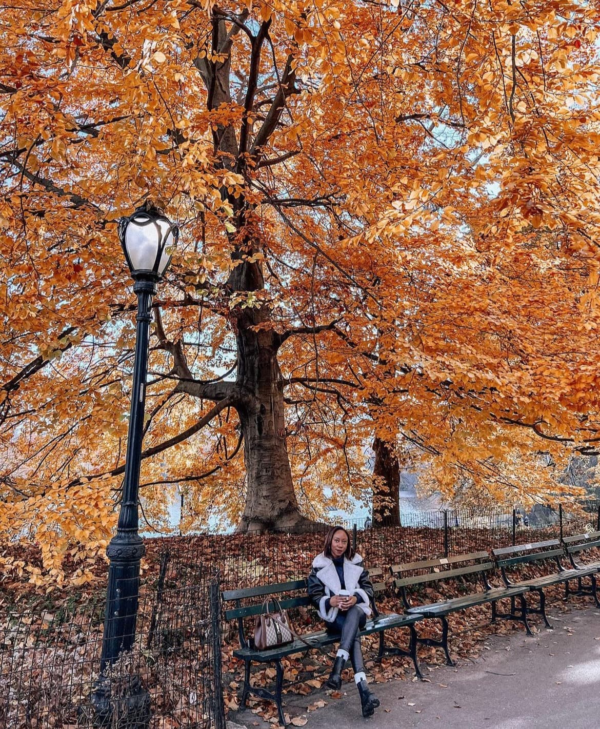 Picture of Nana sitting on bench