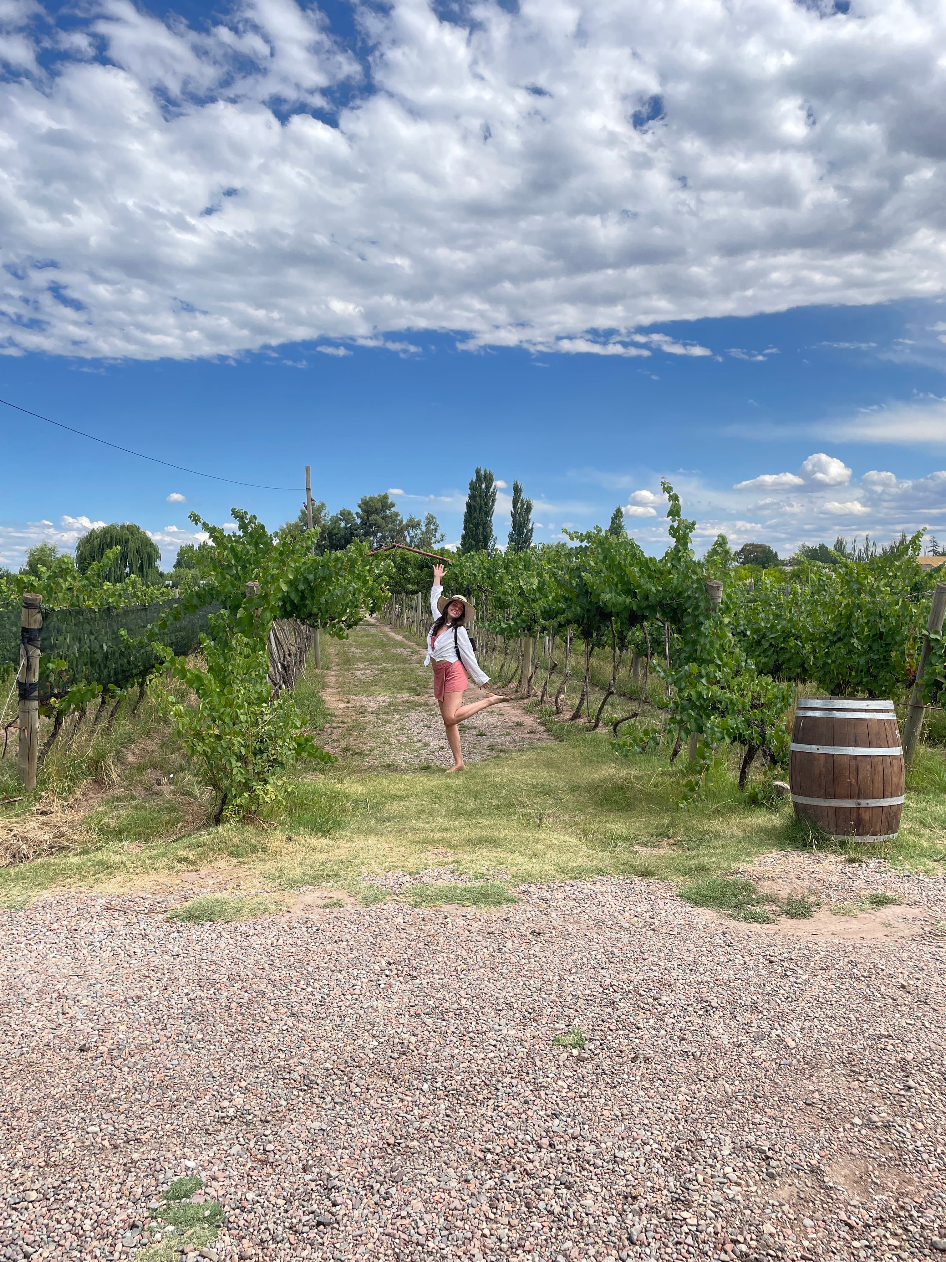Picture of lizzy in vineyard