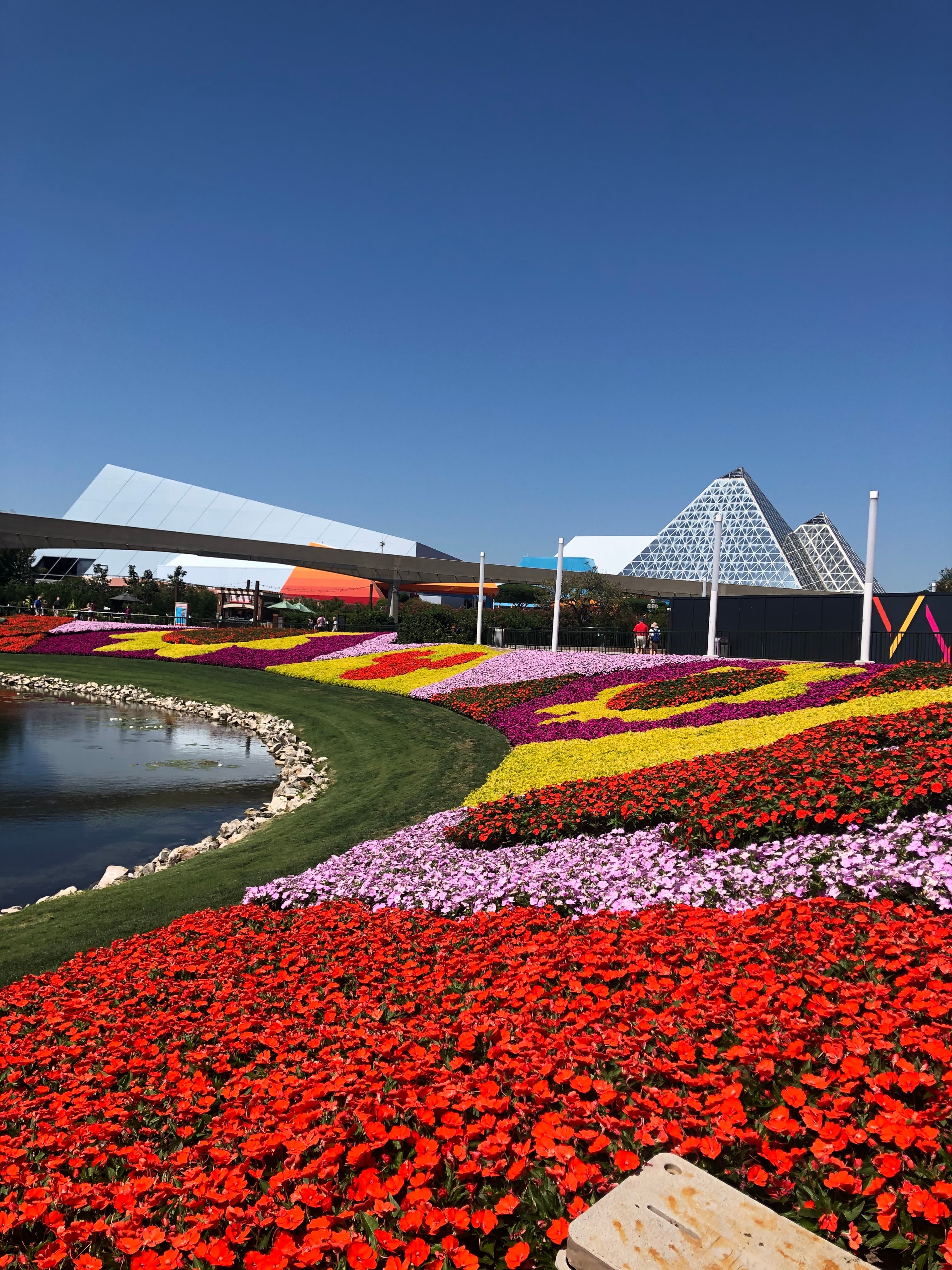 Area decorated with beautiful multi-colored flowers