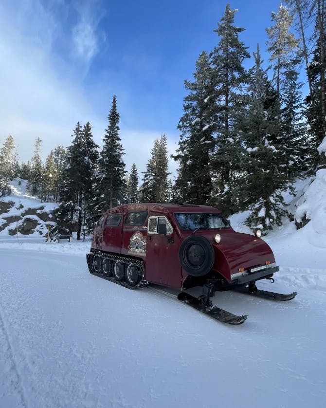 A red truck in the snow surrounded by pine trees on a sunny day
