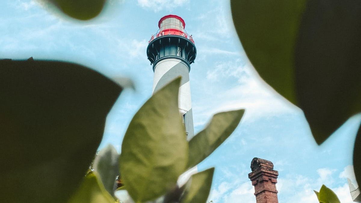 View of a white and blue lighthouse through leaves