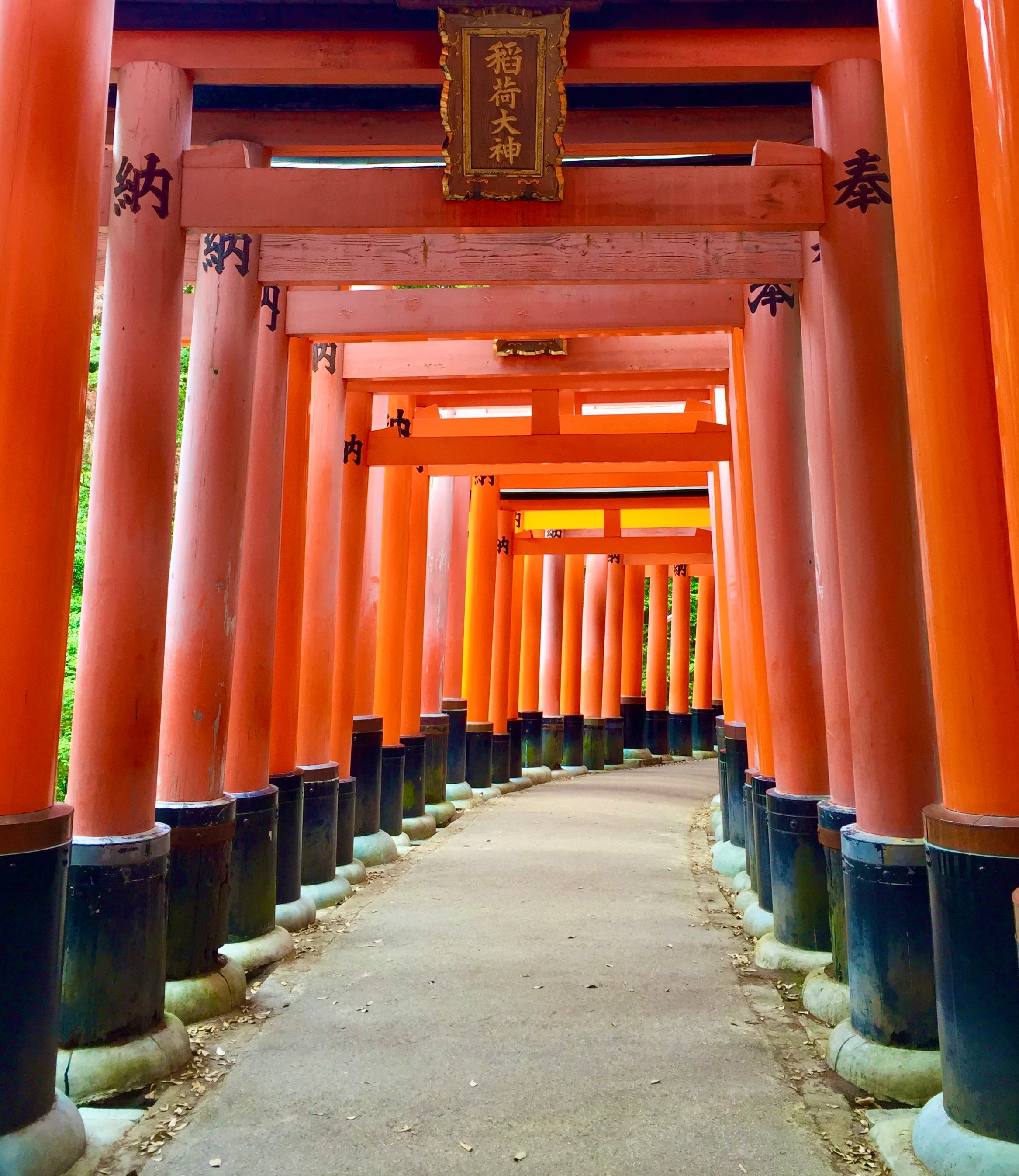 Picture of red pathway in Japan.
