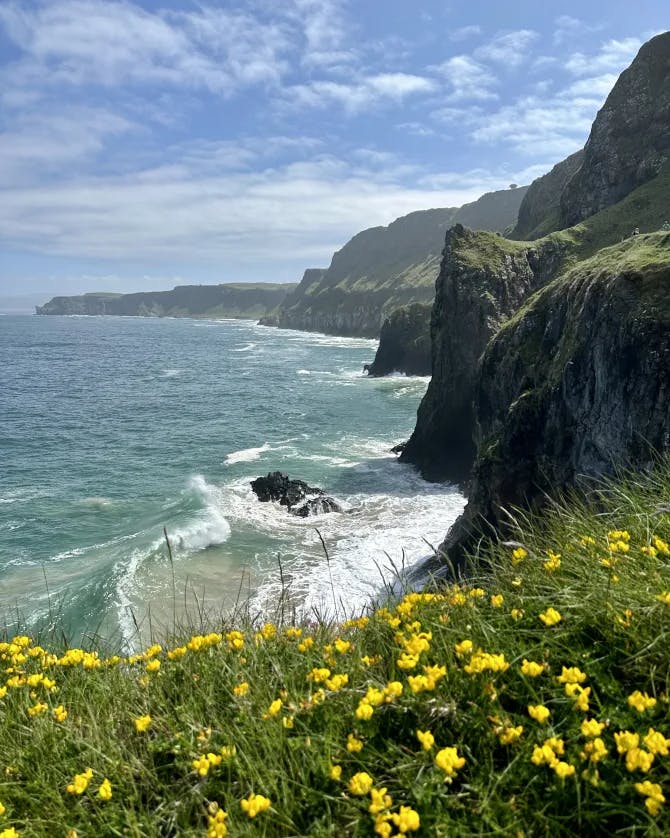 Yellow wild flowers scattered along a rocky cliff with the ocean in the background