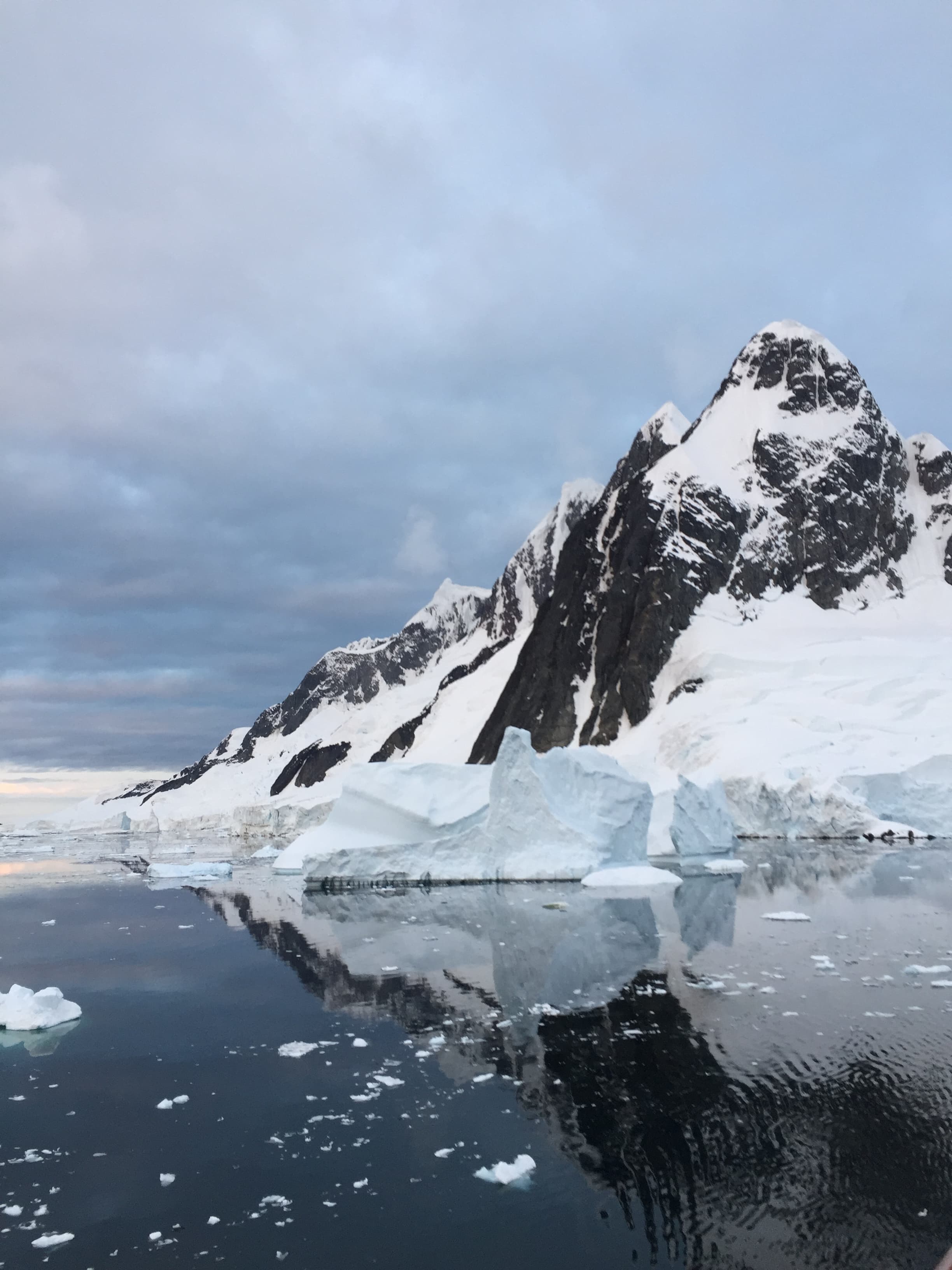 Ice bergs floating on the water with a snowy covered mountain in the background