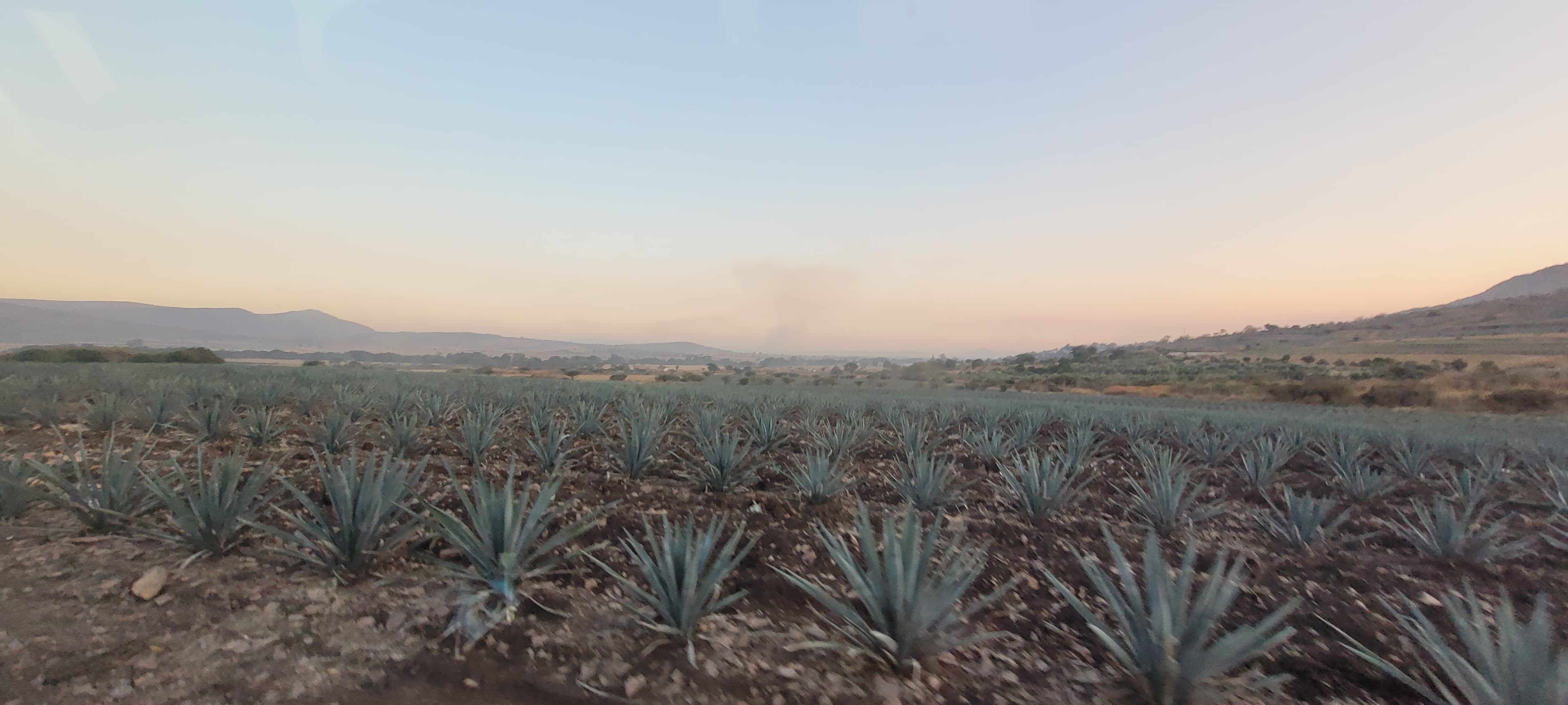 View of a valley