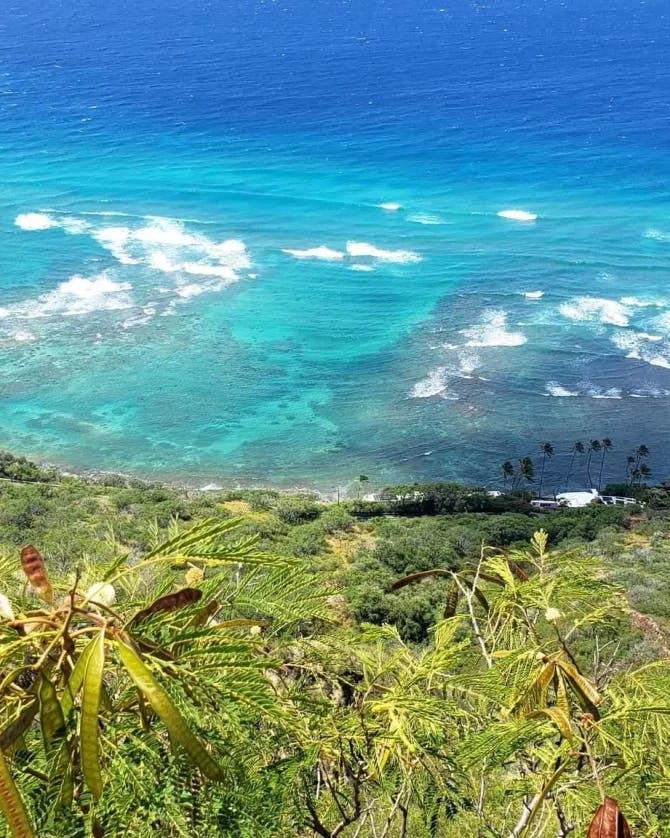 A green mountain overlooking a vibrant view of the ocean and palm trees in the far distance