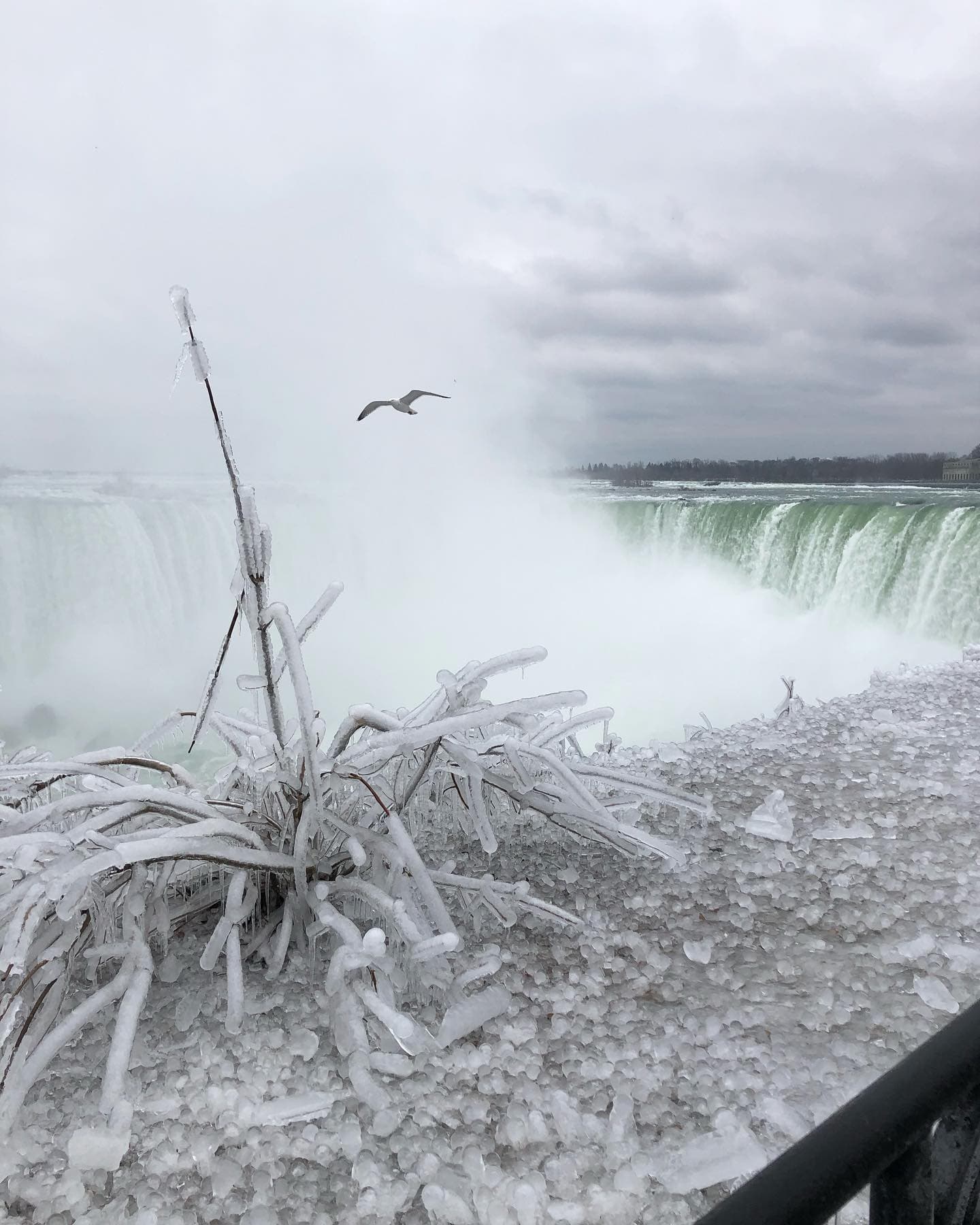 View of a snowy waterfall scene