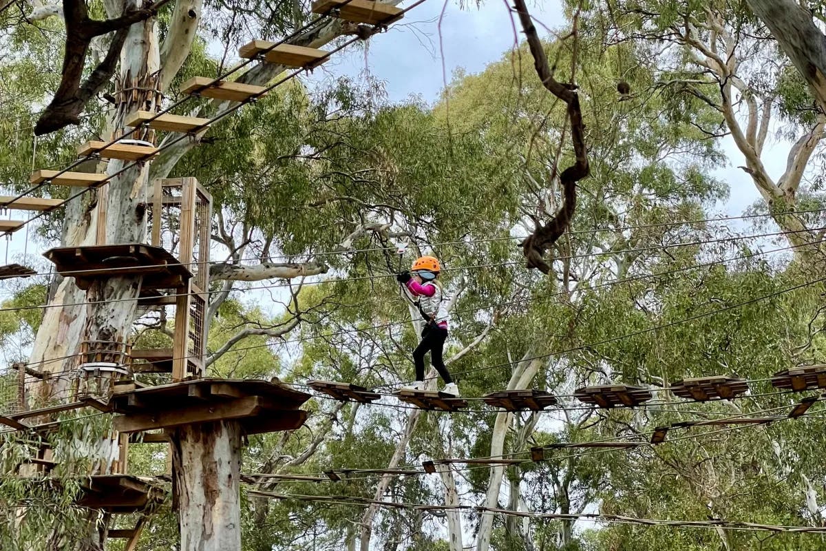 TreeClimb is Adelaide's first inner-city, nature-based aerial adventure park.