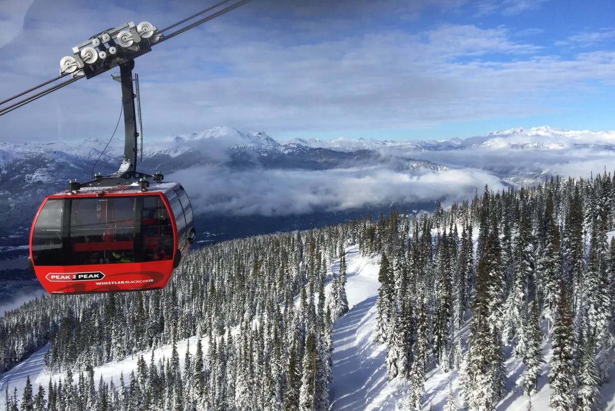 Cable car over a snowy mountain with trees