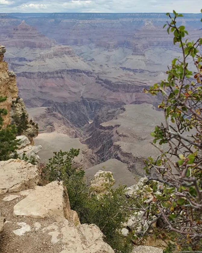 Picture of Grand Canyon National Park
