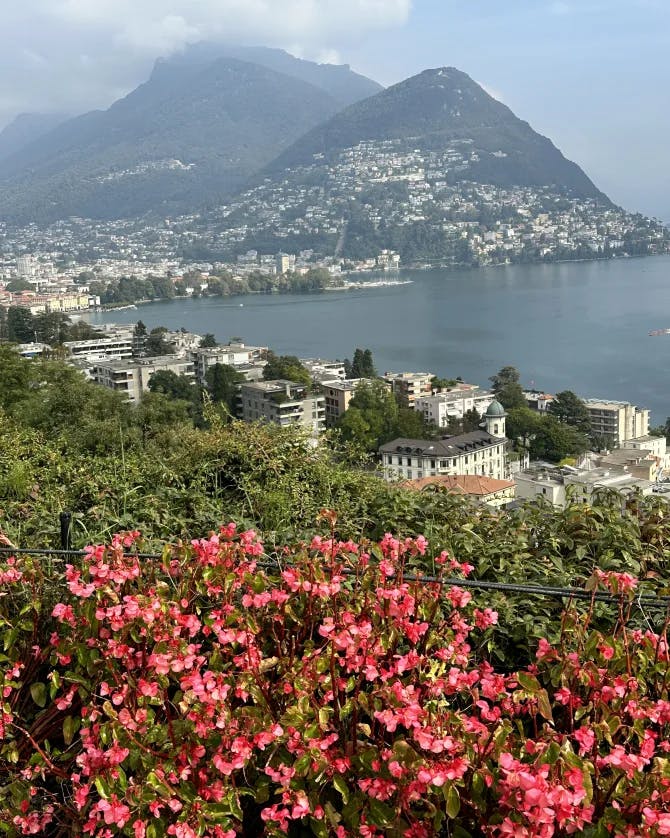 A picture of pink flowers, green foliage and buildings set against Lake Lugano with a mountain in the background