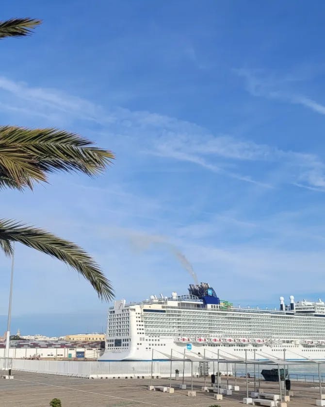 View of a grand cruise ship anchored in a harbor with a palm tree to the left 