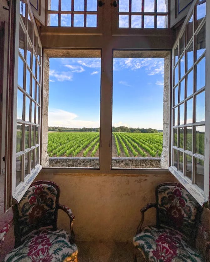 Two chairs positioned in front of an open window with a vineyard in the background