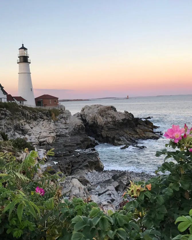 A picture of Portland Head Light with bushes, pink flowers and rocky shores against the ocean and light pink sunset