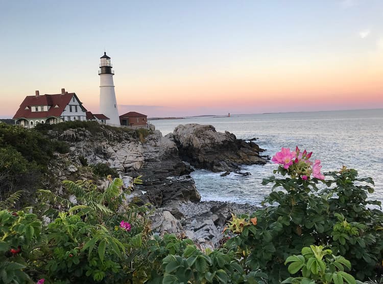 A picture of Portland Head Light with bushes, pink flowers and rocky shores against the ocean and light pink sunset