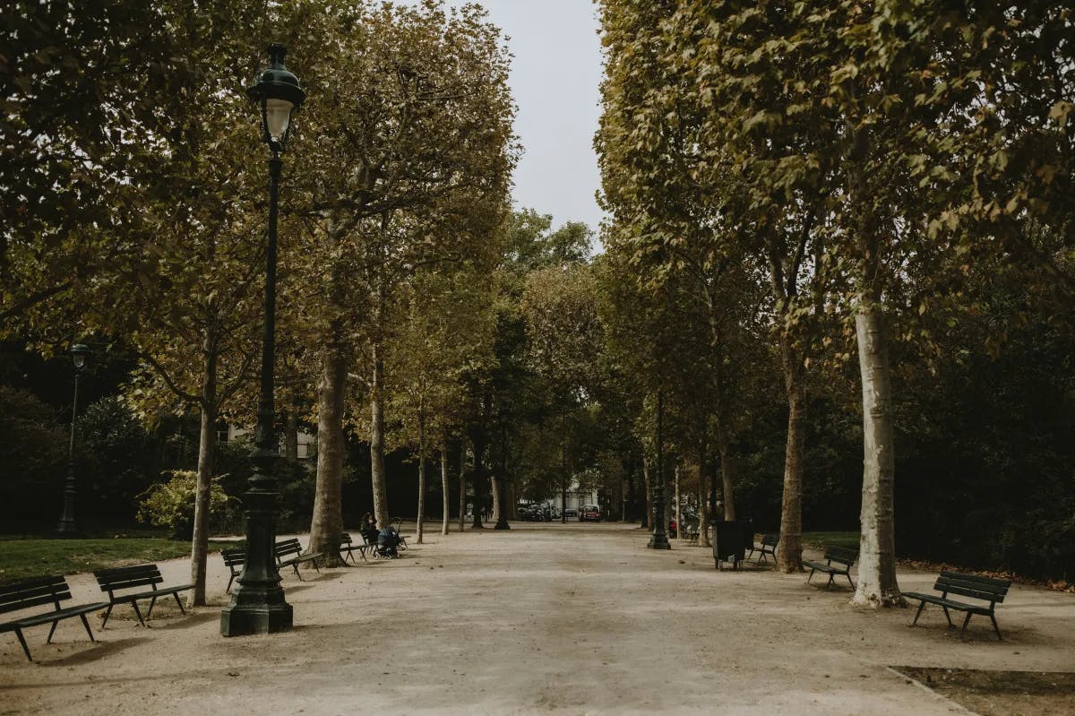 The Champ de Mars Park in Paris in the 7th arrondissement, one of the best arrondissements to stay in Paris, featuring wide paths, benches and trees.