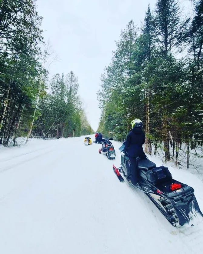 A picture of three snowmobiles on a snowy path surrounded by pine trees