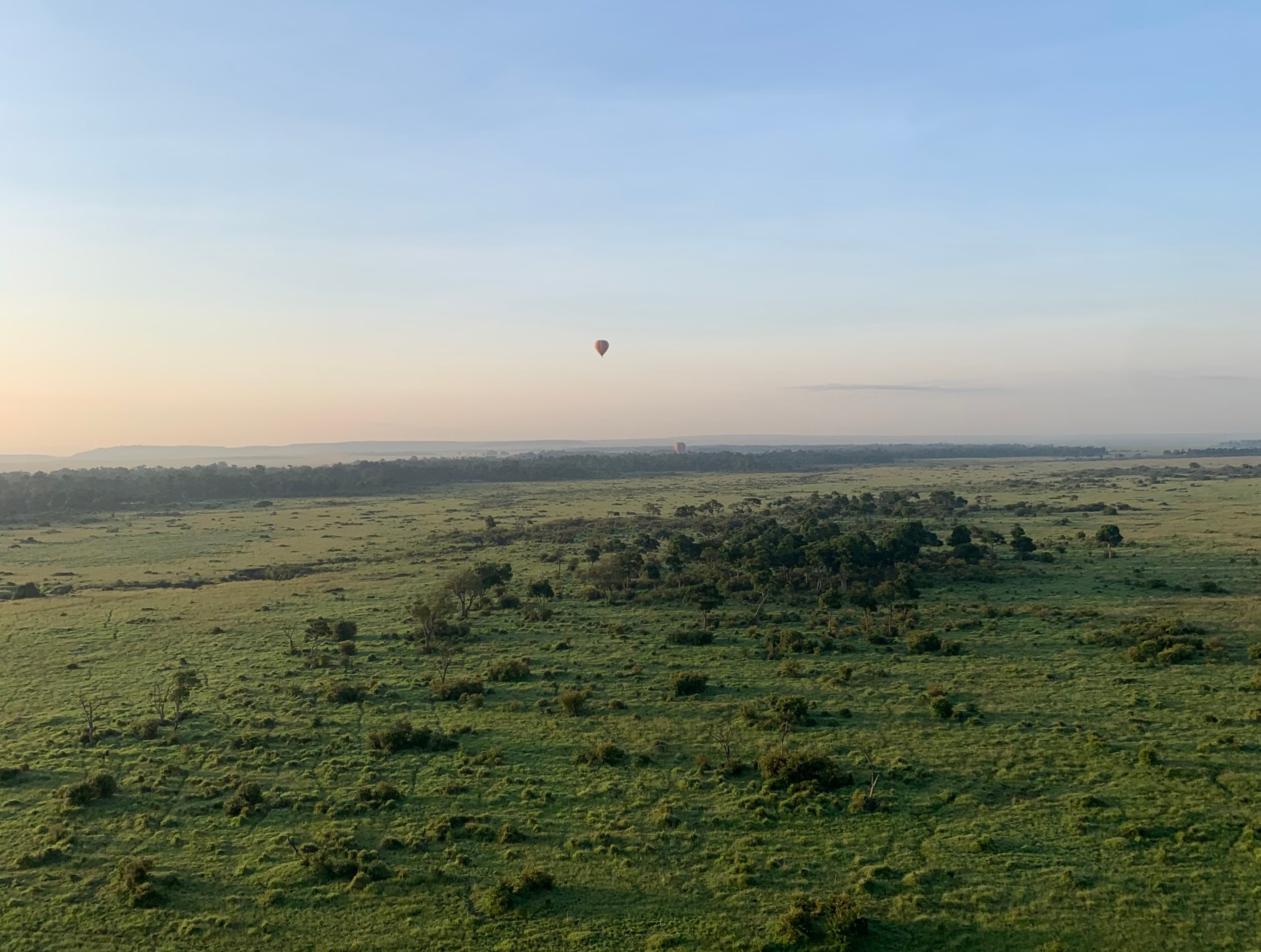 Hot air balloons in the sky