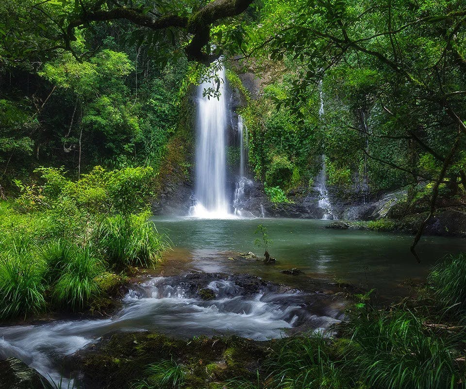 cascade in the rainforest