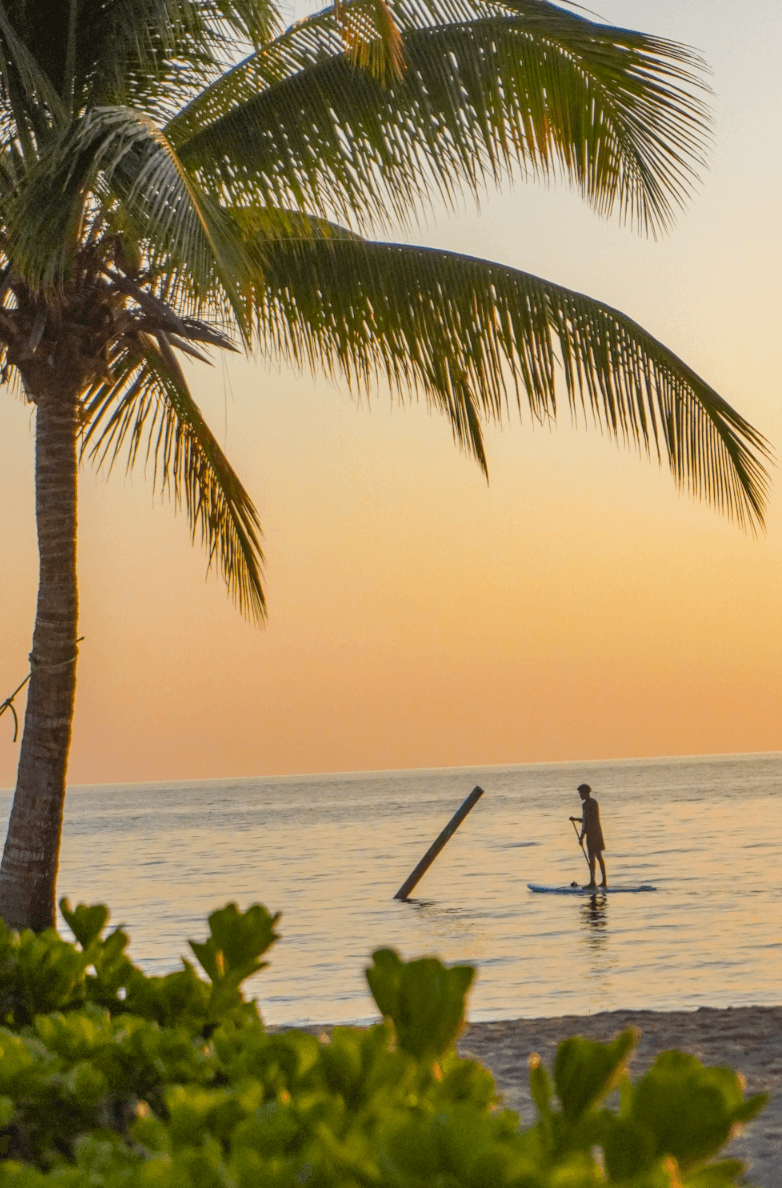 Aesthetic view of a beach during sunset