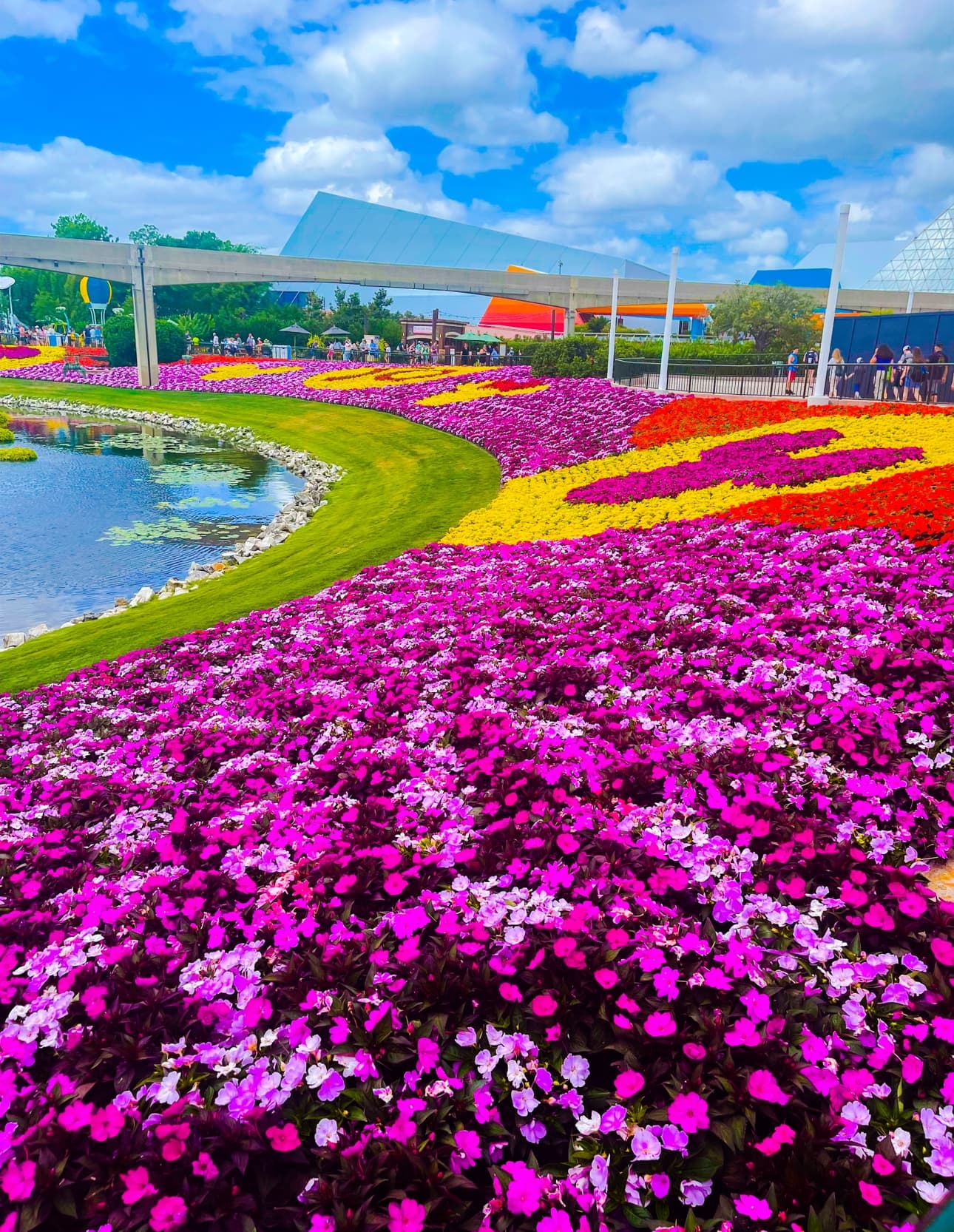 Beautiful garden of multi-colored flowers