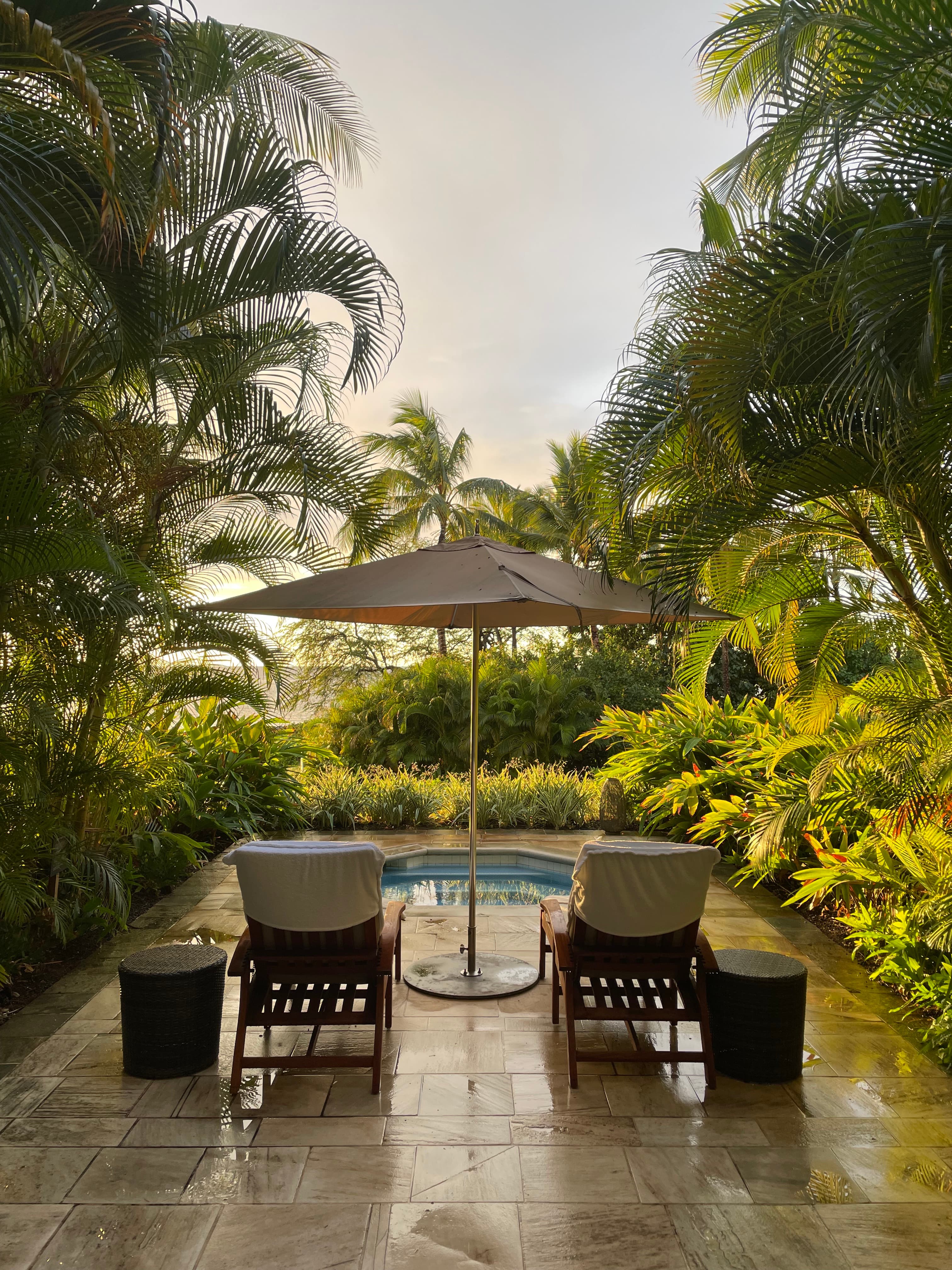 Picture of sunloungers and straw umbrella