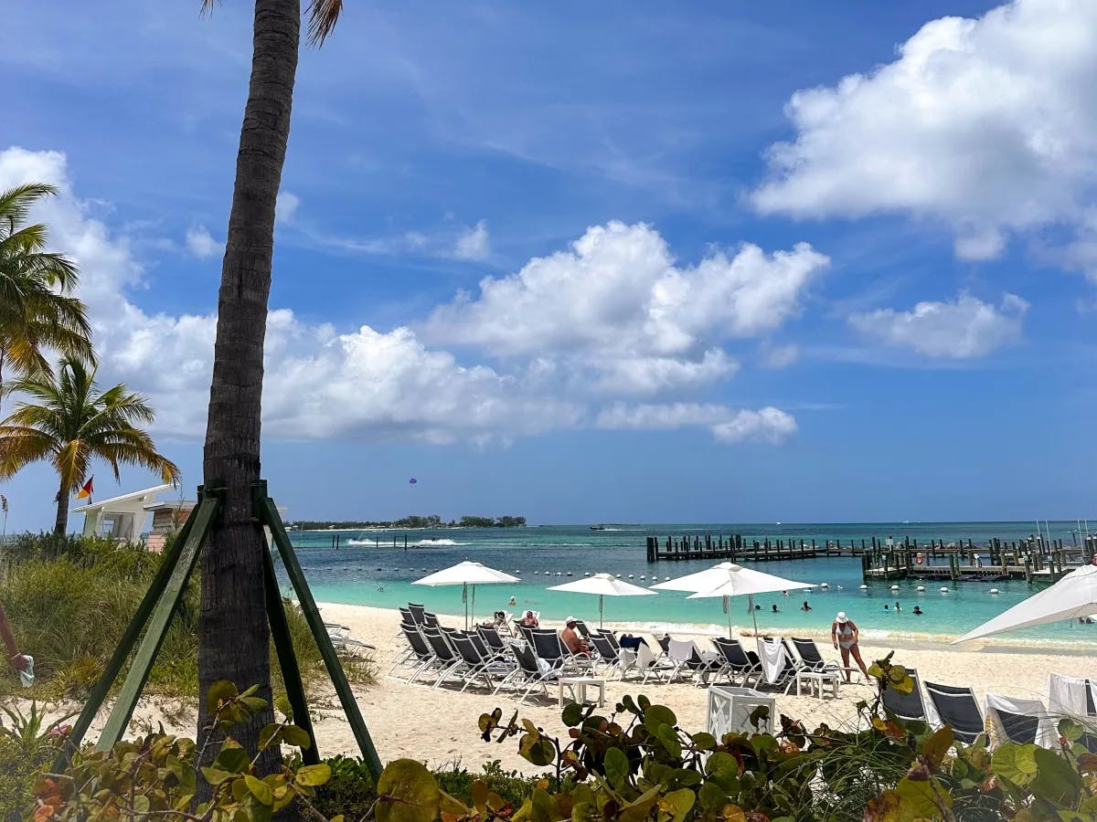 A view of the white sandy beach behind an array of green shrubs and palm trees. There are people lounging on lawn chairs under white umbrellas that look out onto the turquoise blue water and wooden dock.
