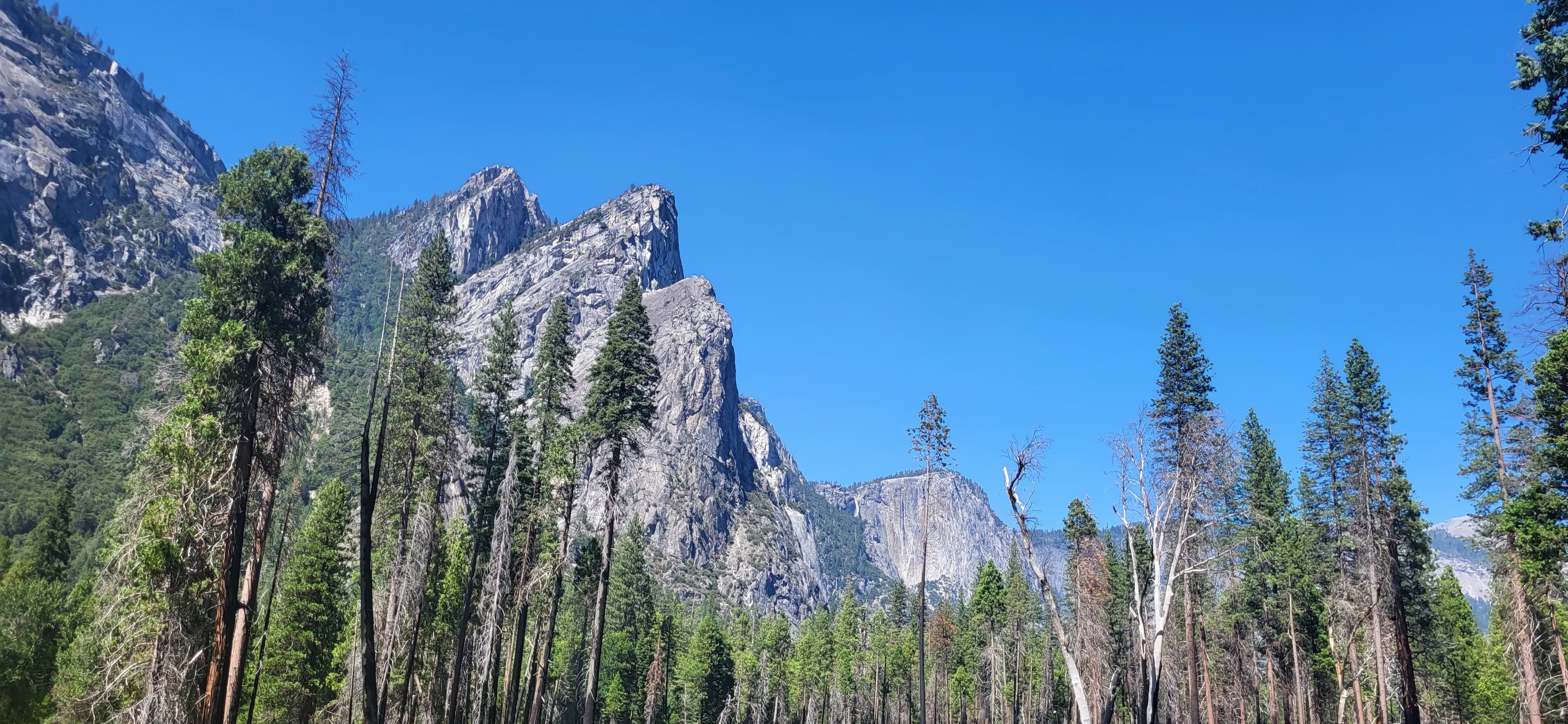 A beautiful view of trees and mountains