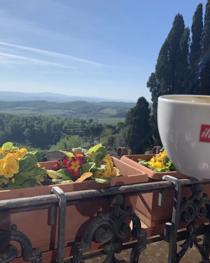 A hand holds a white coffee cup on a balcony overlooking a sunny valley.
