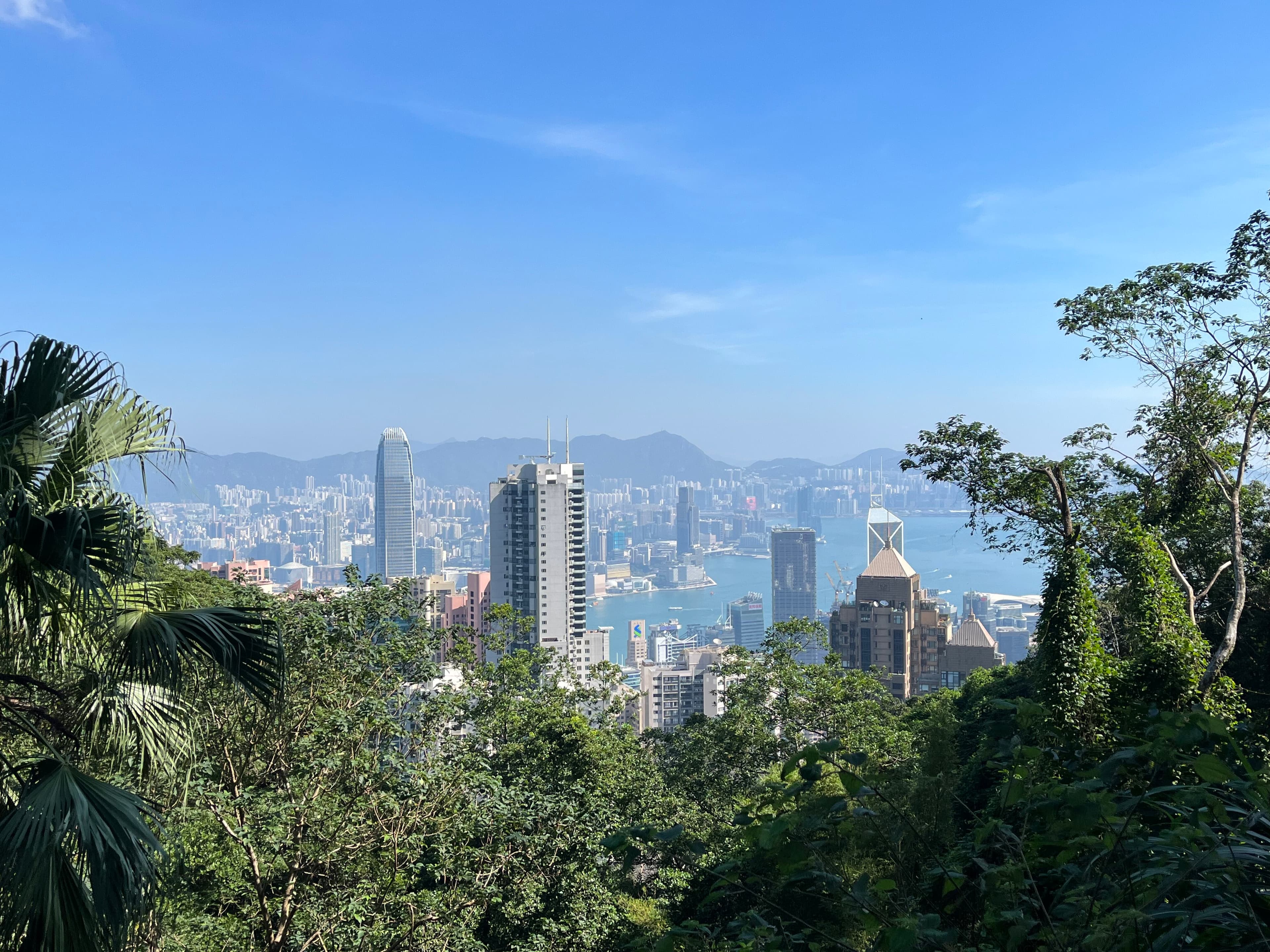 A view of Victoria Peak complete with green trees, a city skyline and blue water