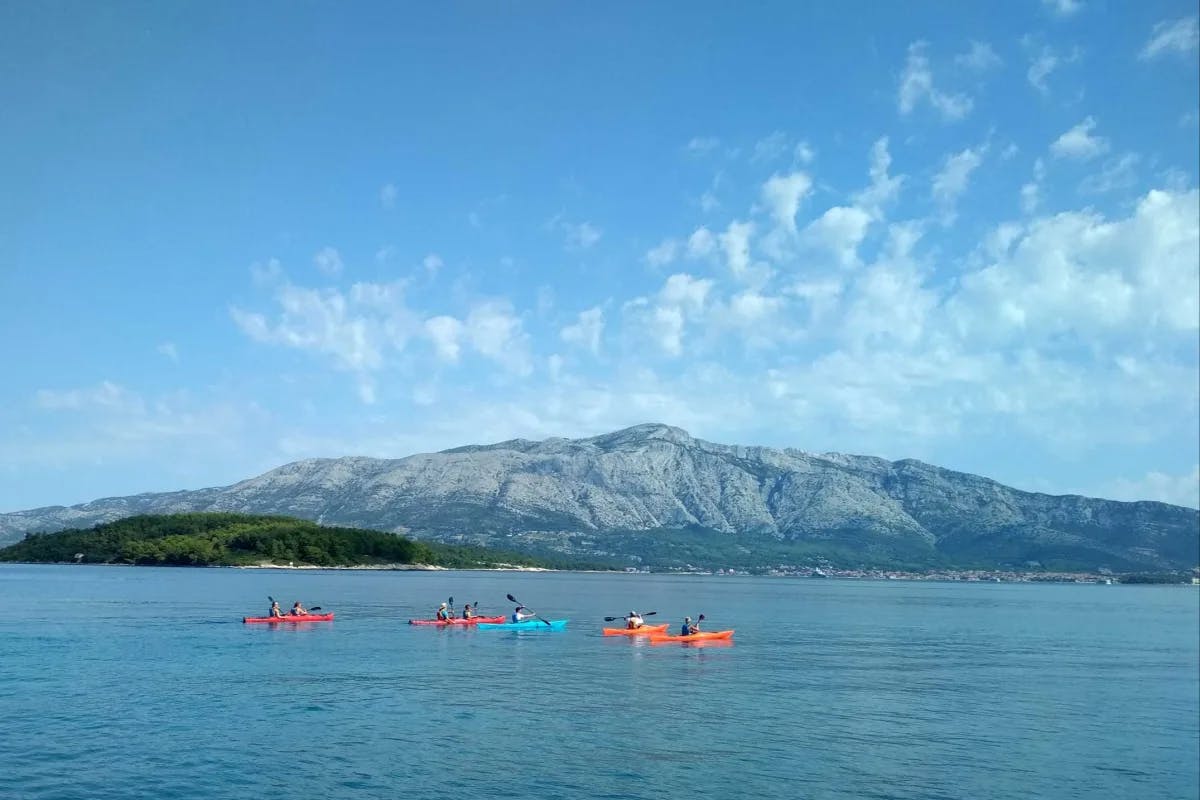 A view of five kayaks paddling on a blue body of water with a large mountain and trees in the background.