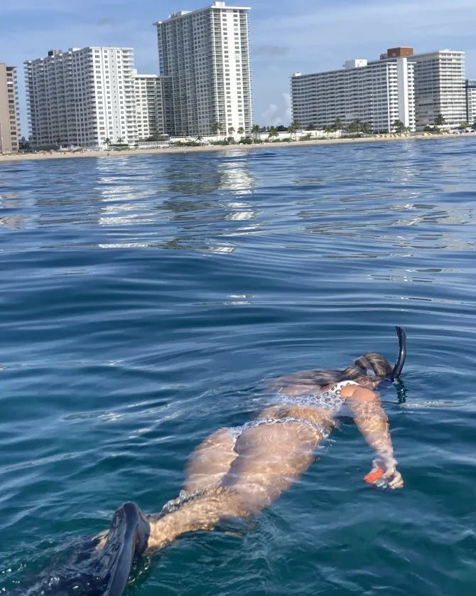 snorkeling in the sea with a coastline in the distance with hotels and palm trees. 