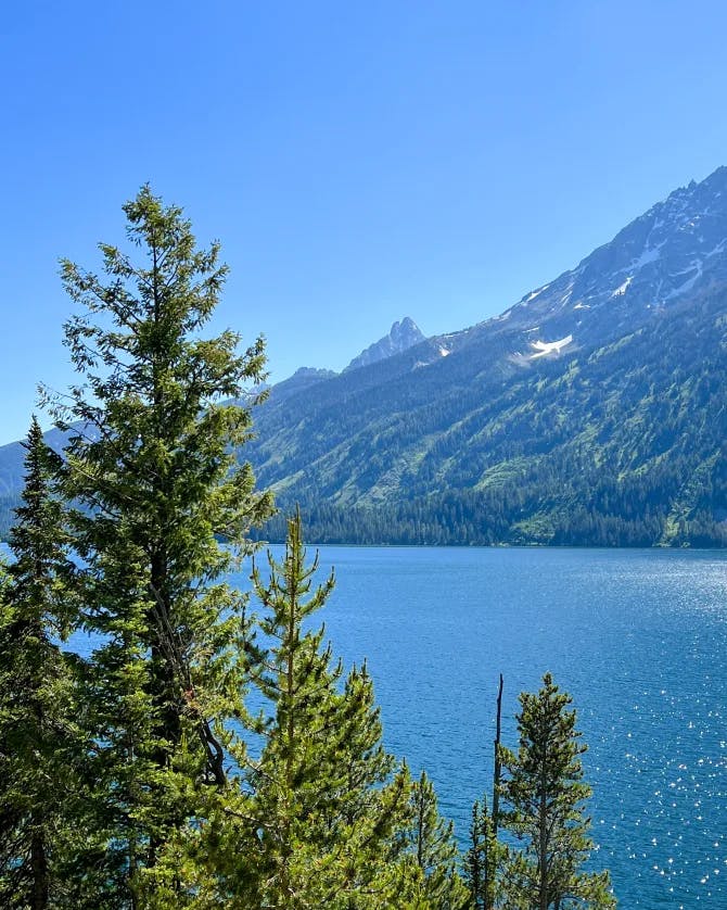 A view of pine trees in front of a lake shining in the sun with mountains in the distance