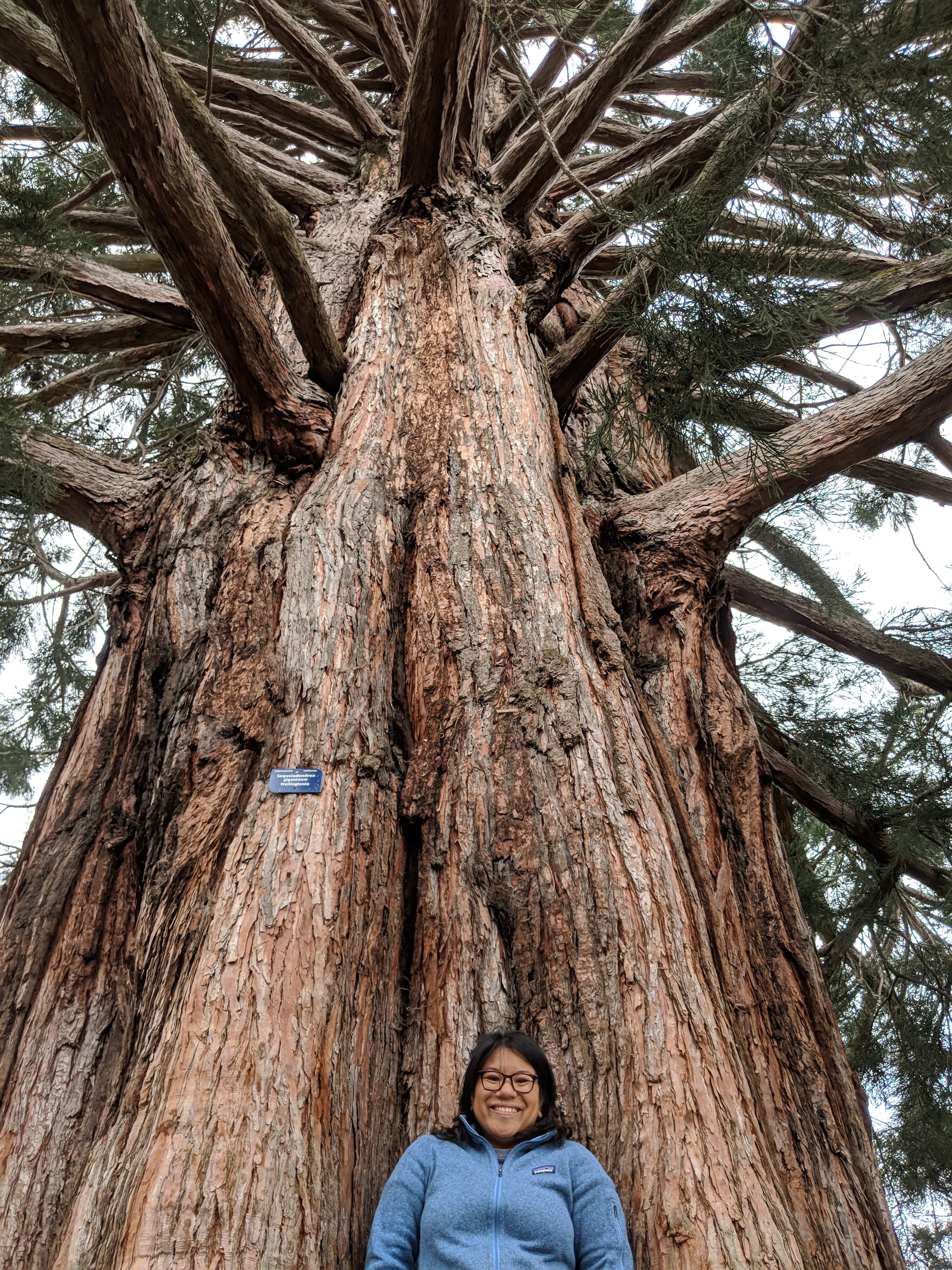 Travel advisor posing with a tree trunk