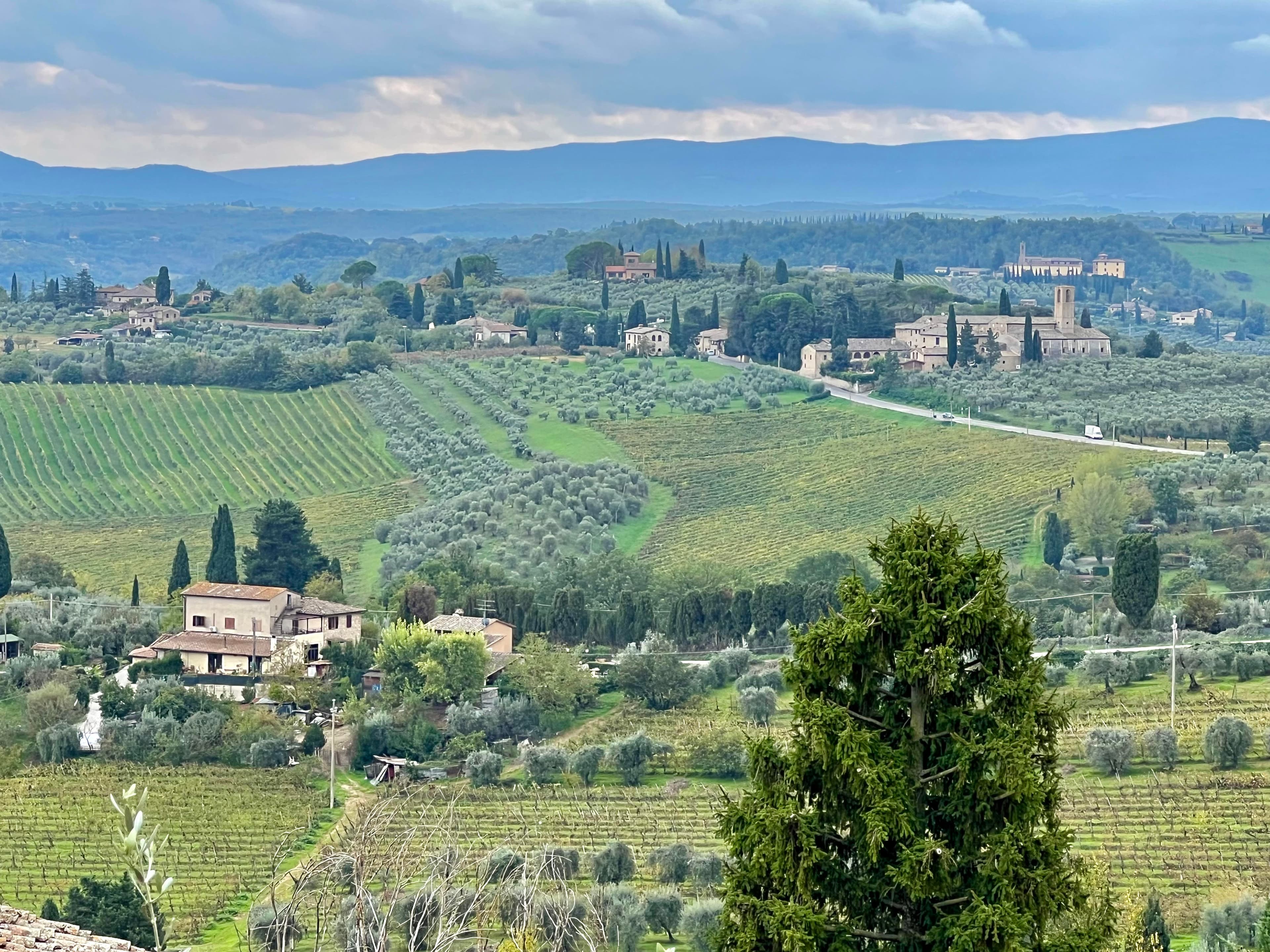 A beautiful view of fields