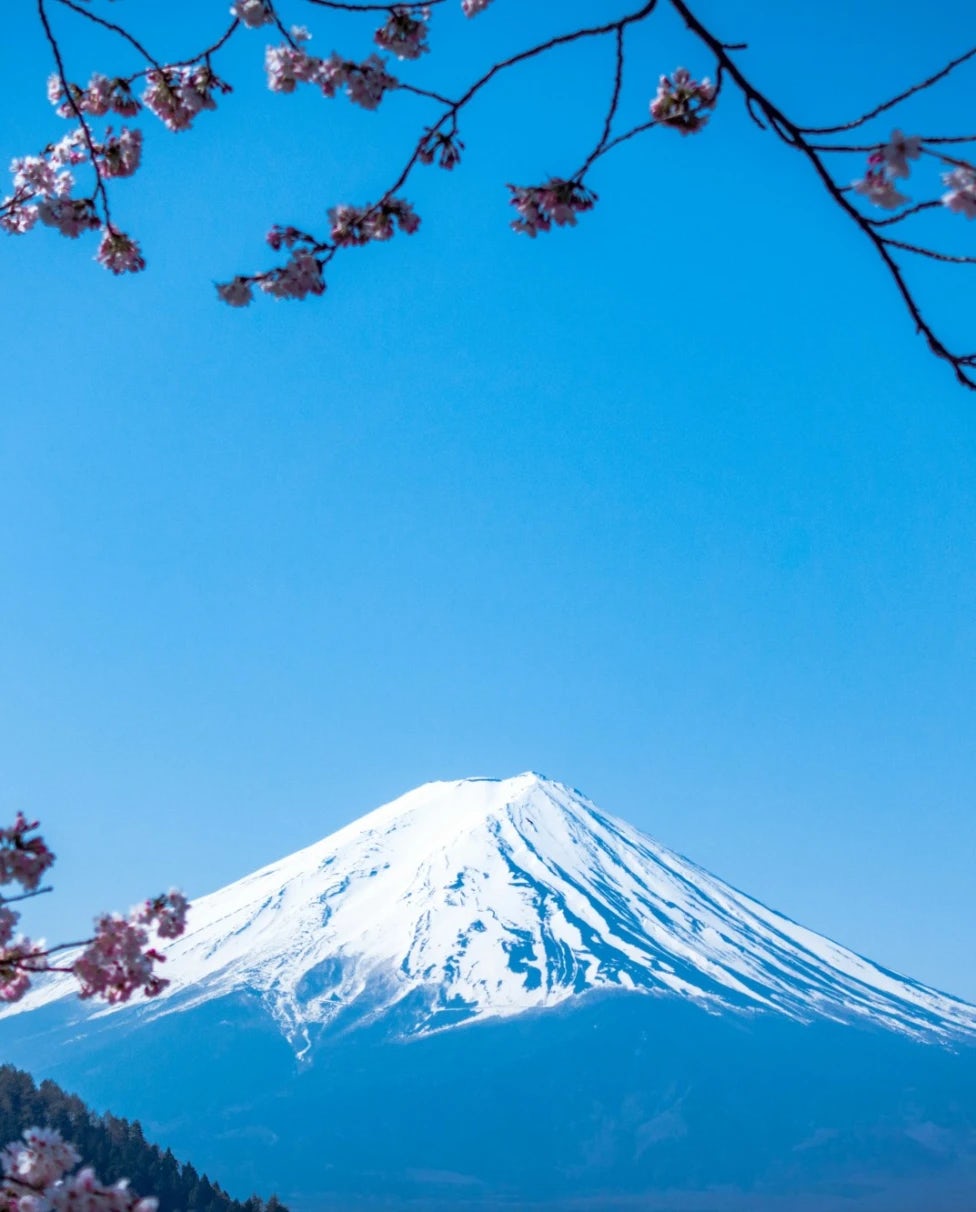 Japan Holidays 2024: Your Guide to Navigating Peak Seasons