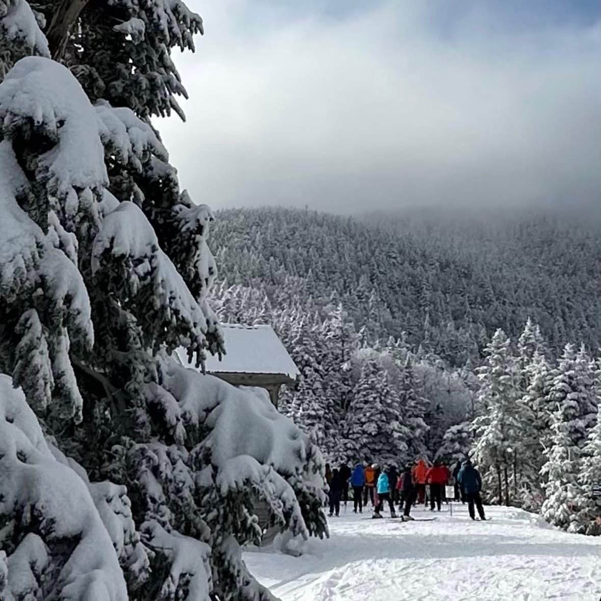 Snowfall in the hilly area
