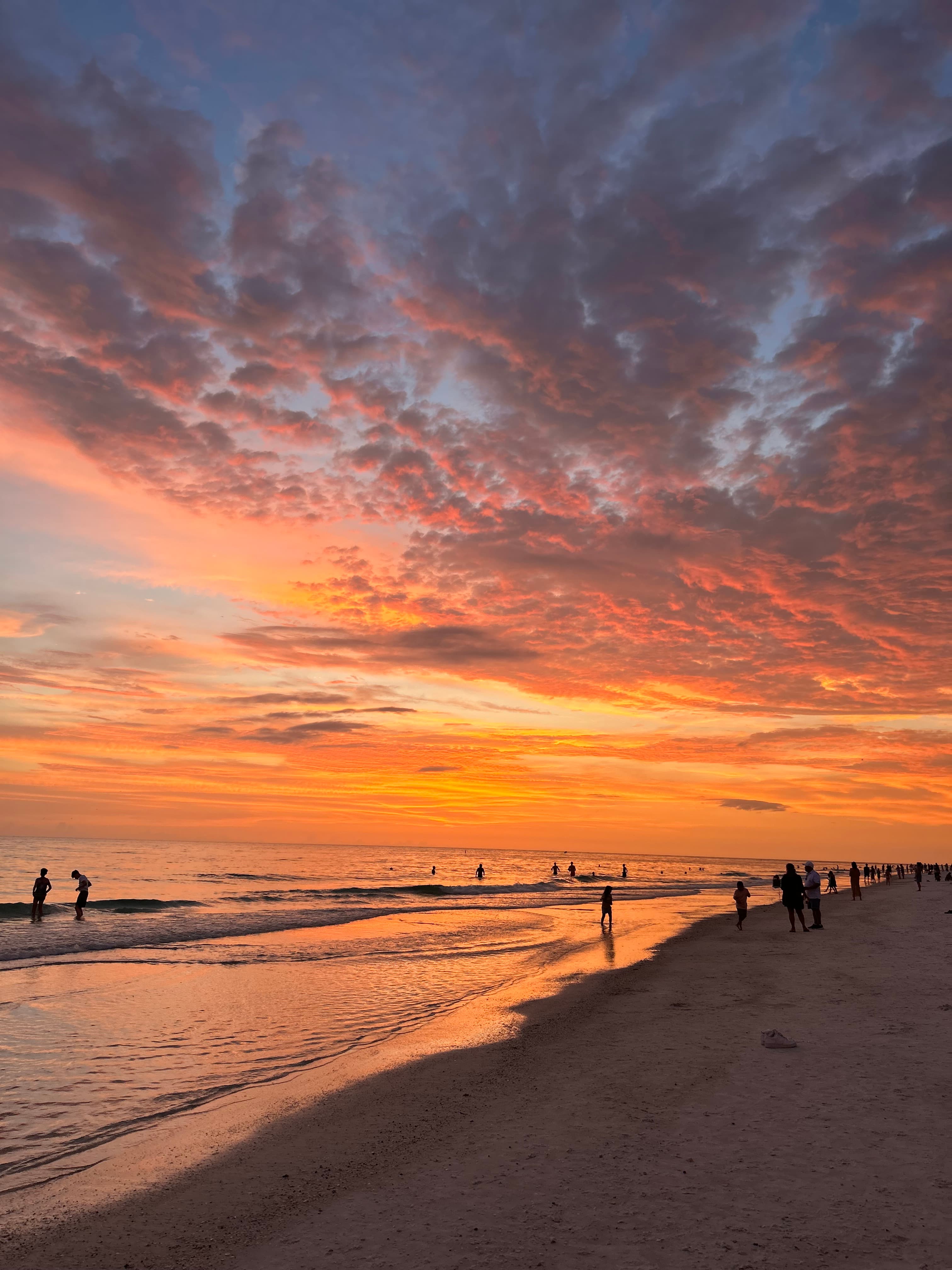 Splendid sunset view