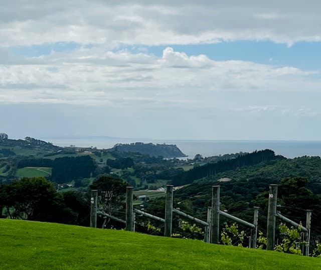 Beautiful greenery of New Zealand