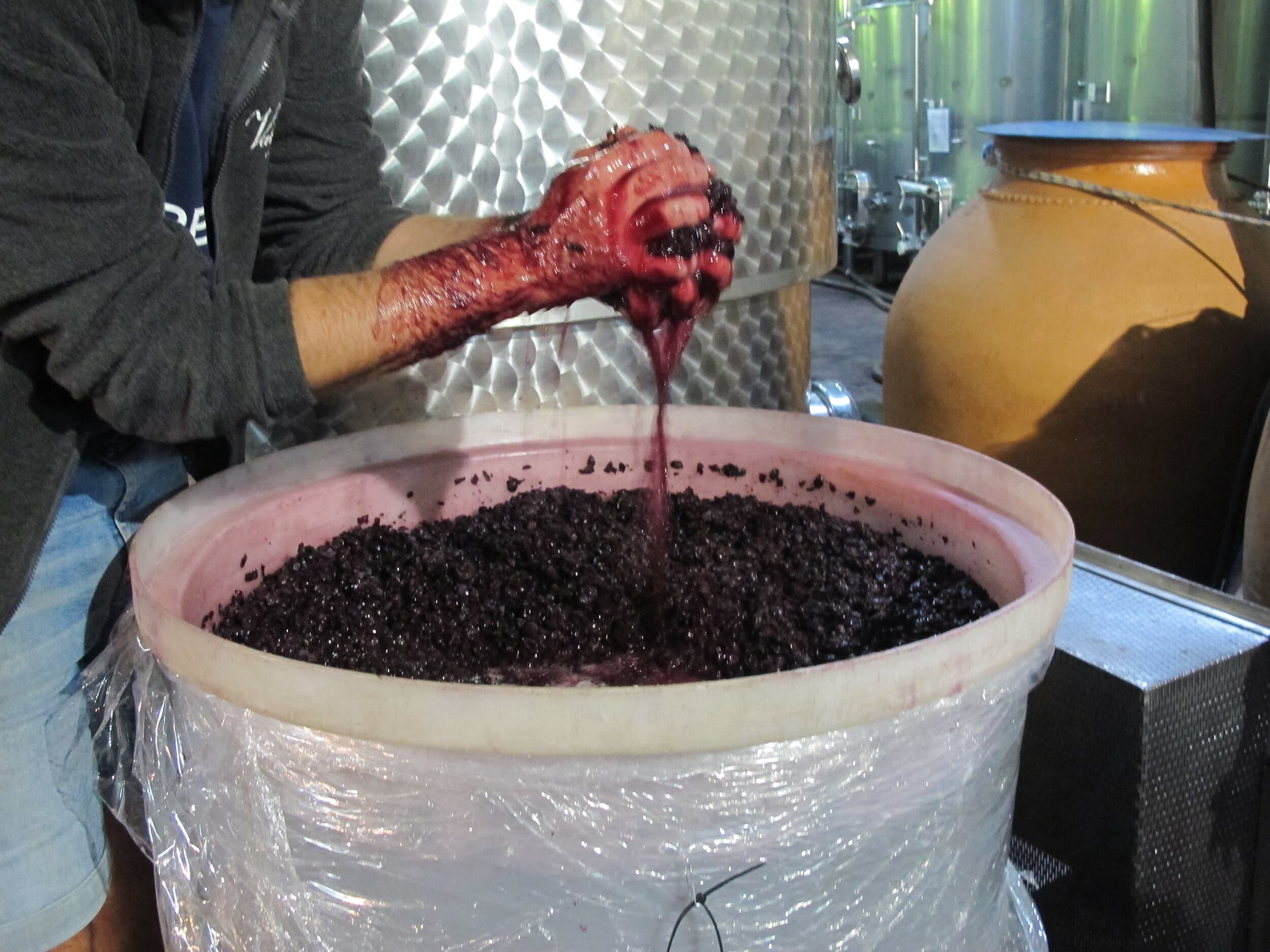 A person squeezing grapes with their hands over a bucket in a wine making building