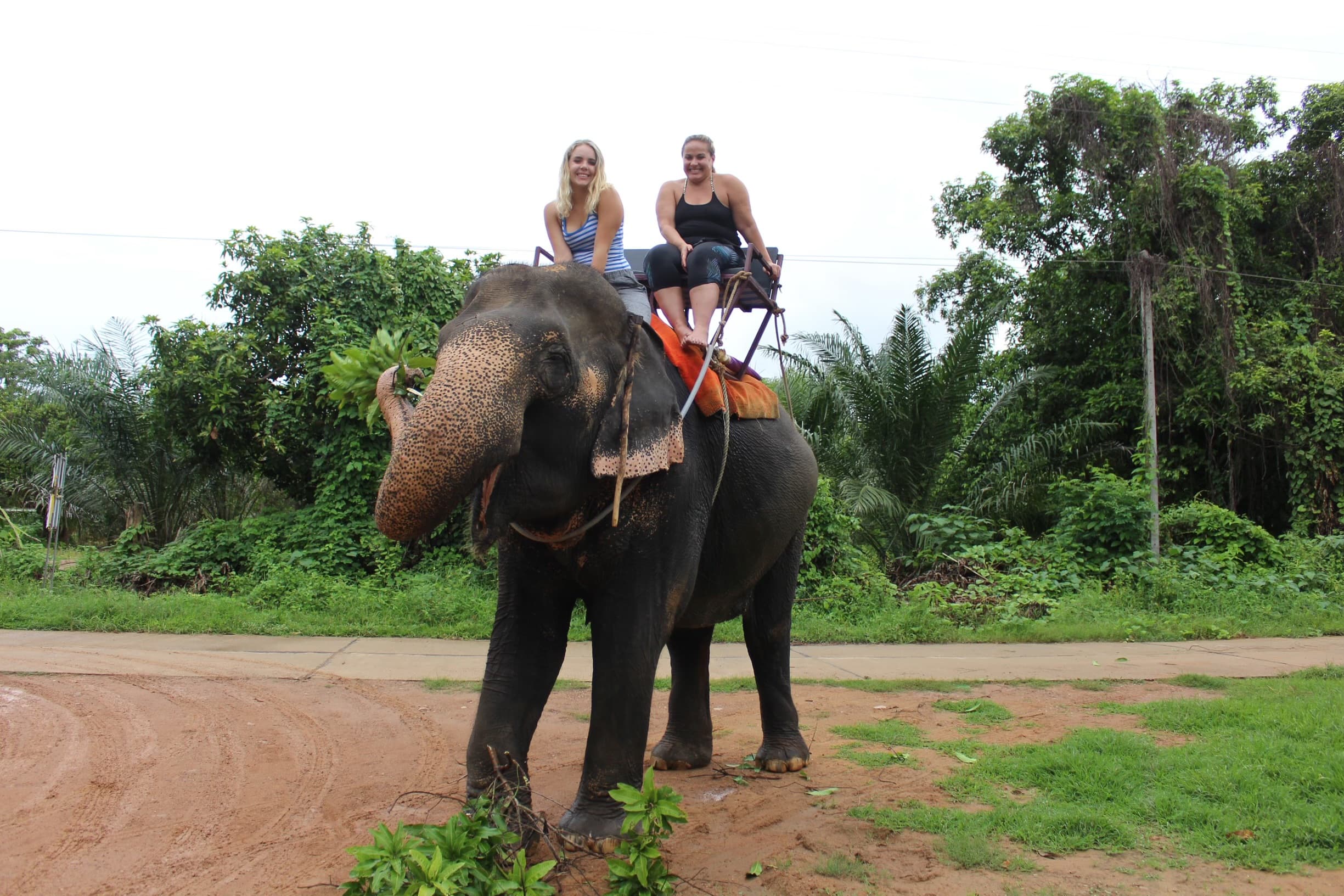 elephant ride with friend