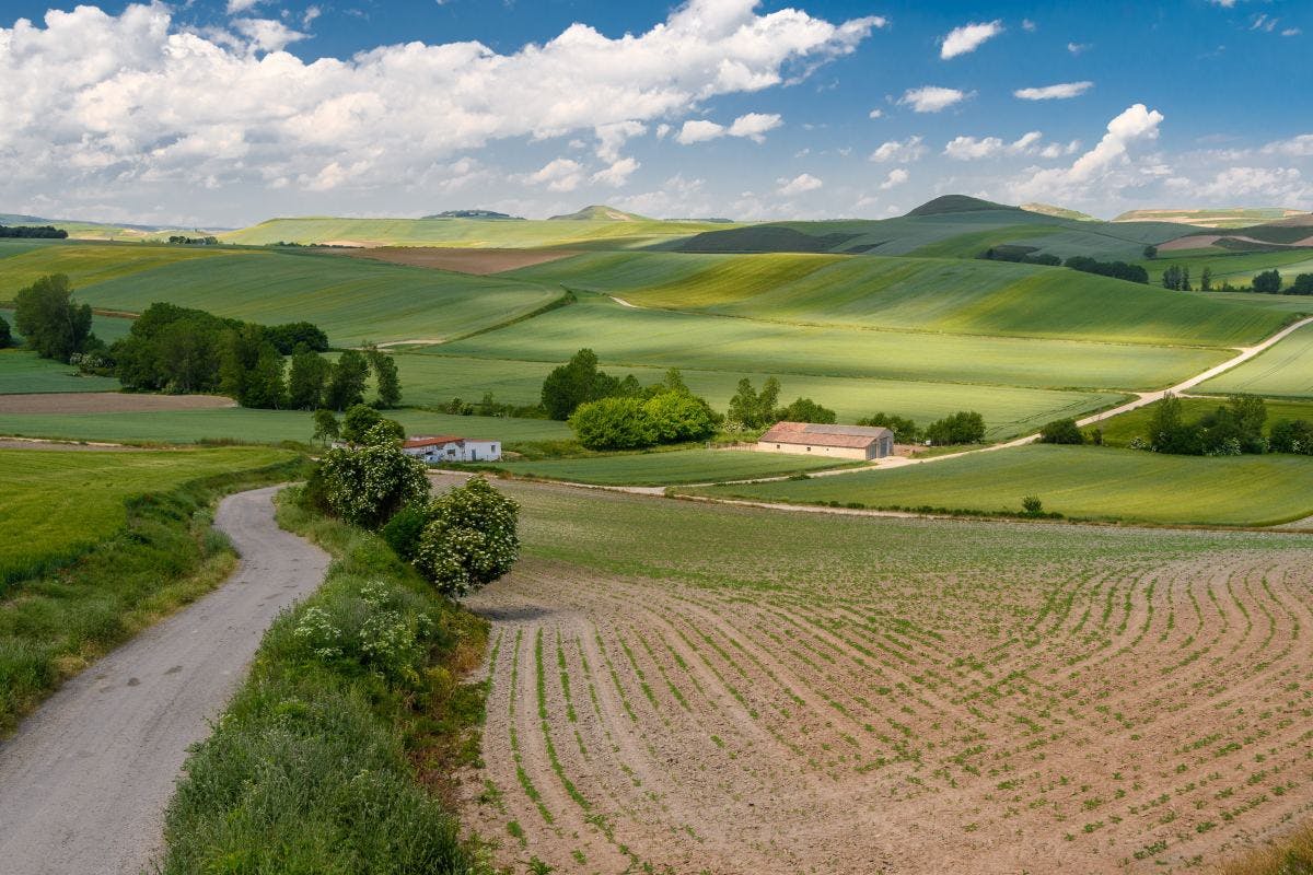Landscape photo with green trees and hills